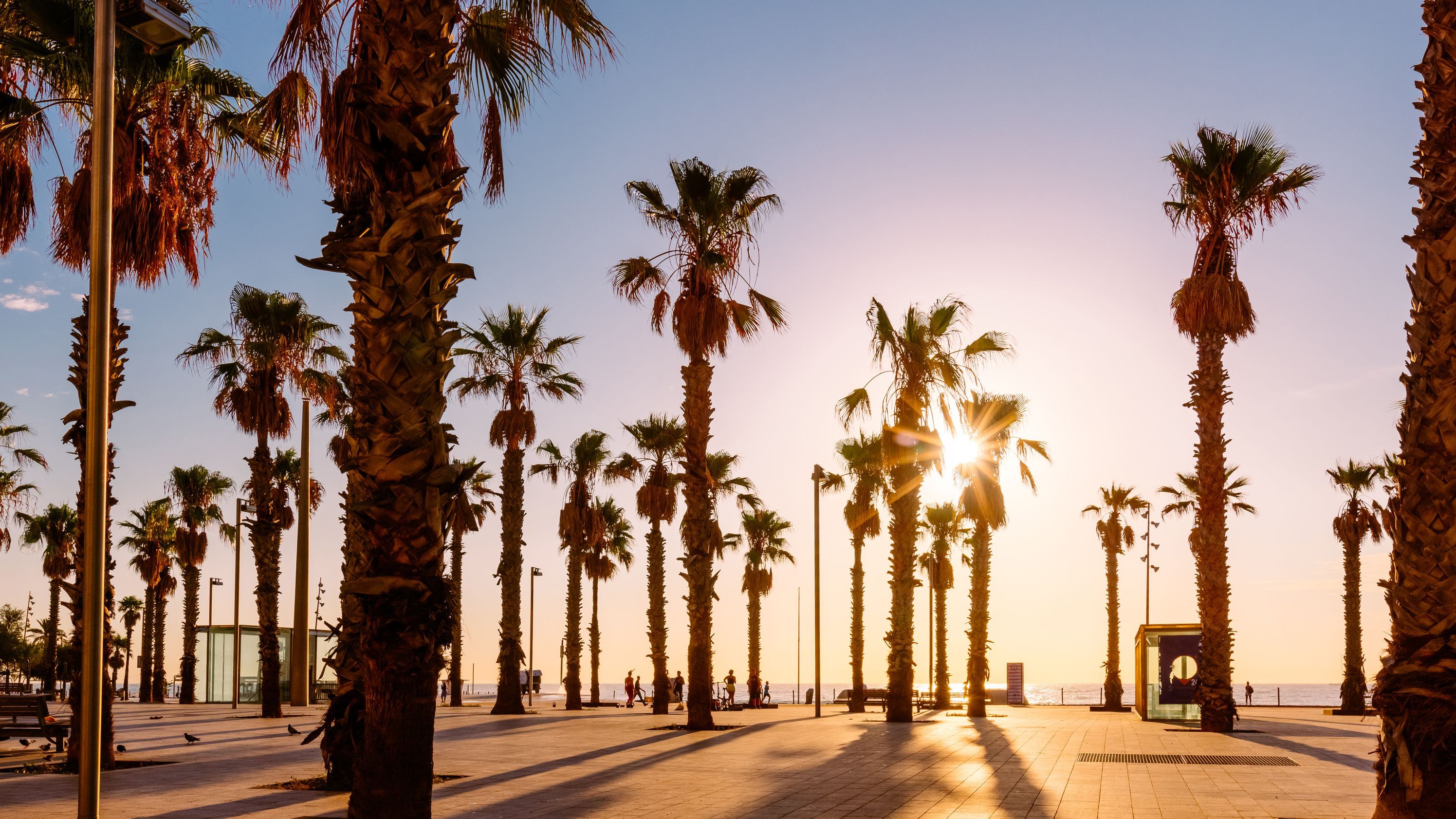 2991x1682 best beaches in Barcelona, as chosen by a local expert