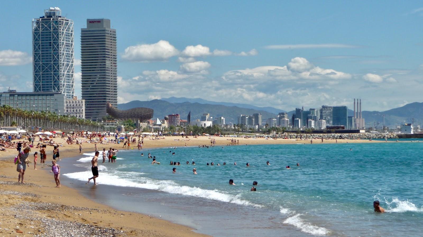 1600x900 La Barceloneta, Spain You Need To Know