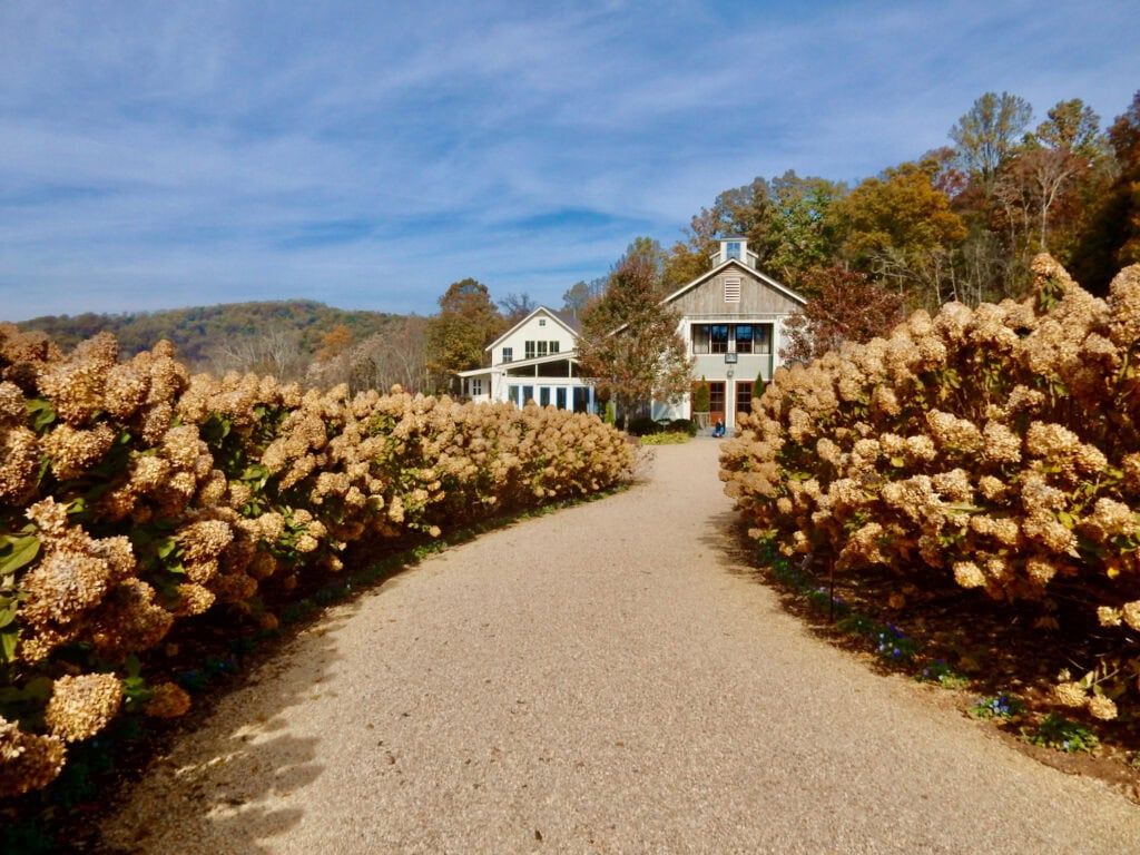 1024x768 Things To Do Near Charlottesville VA: Jefferson and Wine Country
