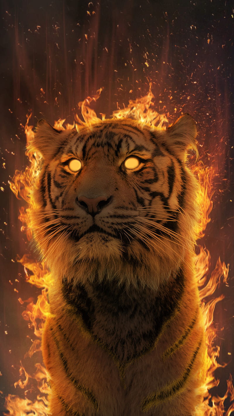 800x1422 Tiger Aura, animal, burning, fantasy, fire, flame, glow, heat, super power, HD phone wallpaper