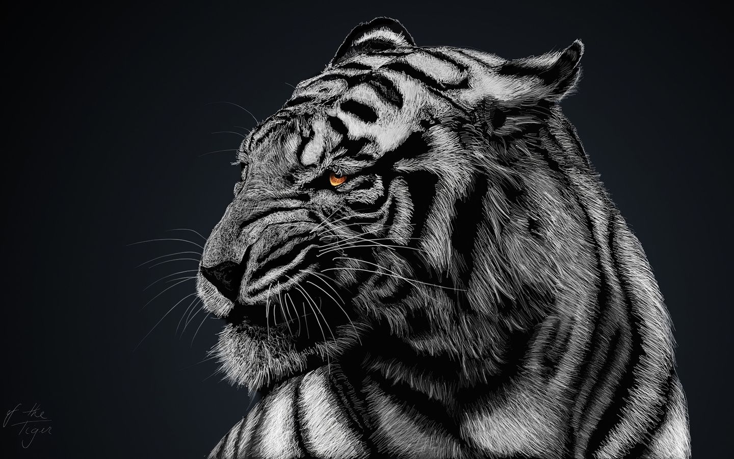 1440x900 Tiger Glow Wallpaper, 1440x900 Resolution HD 4k Wallpaper, Image, Background, Photos and Picture
