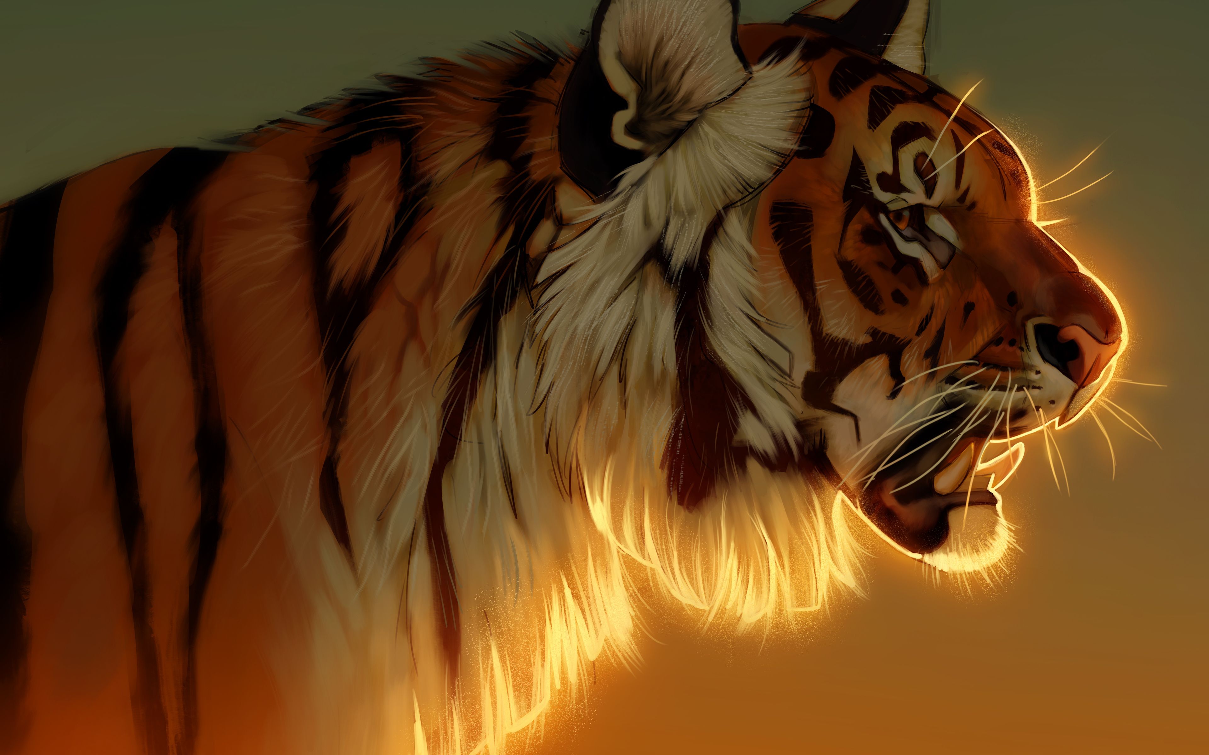 3840x2400 Tiger Evening Glow 5k 4K , HD 4k Wallpaper, Image, Background, Photos and Picture
