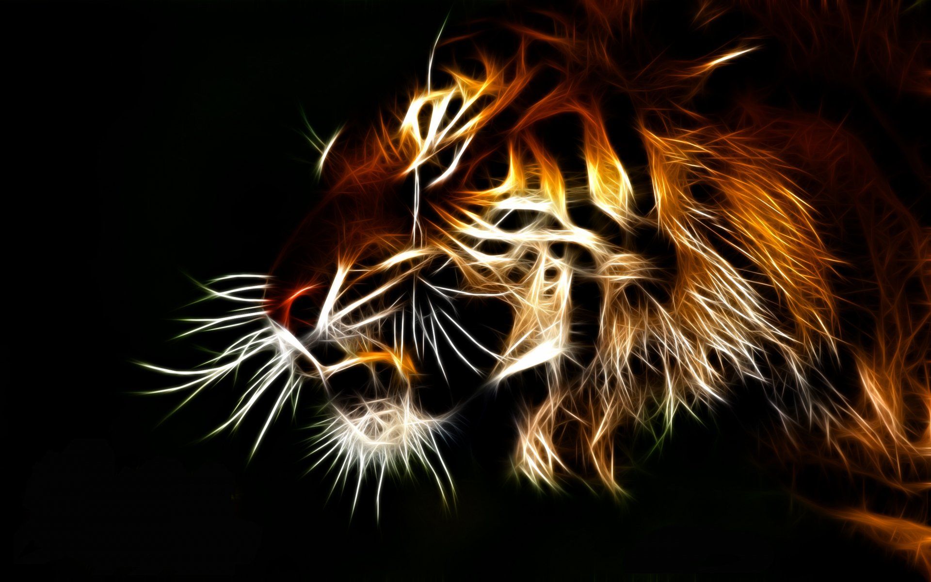 1920x1201 2K Quad HD Tiger Wallpaper