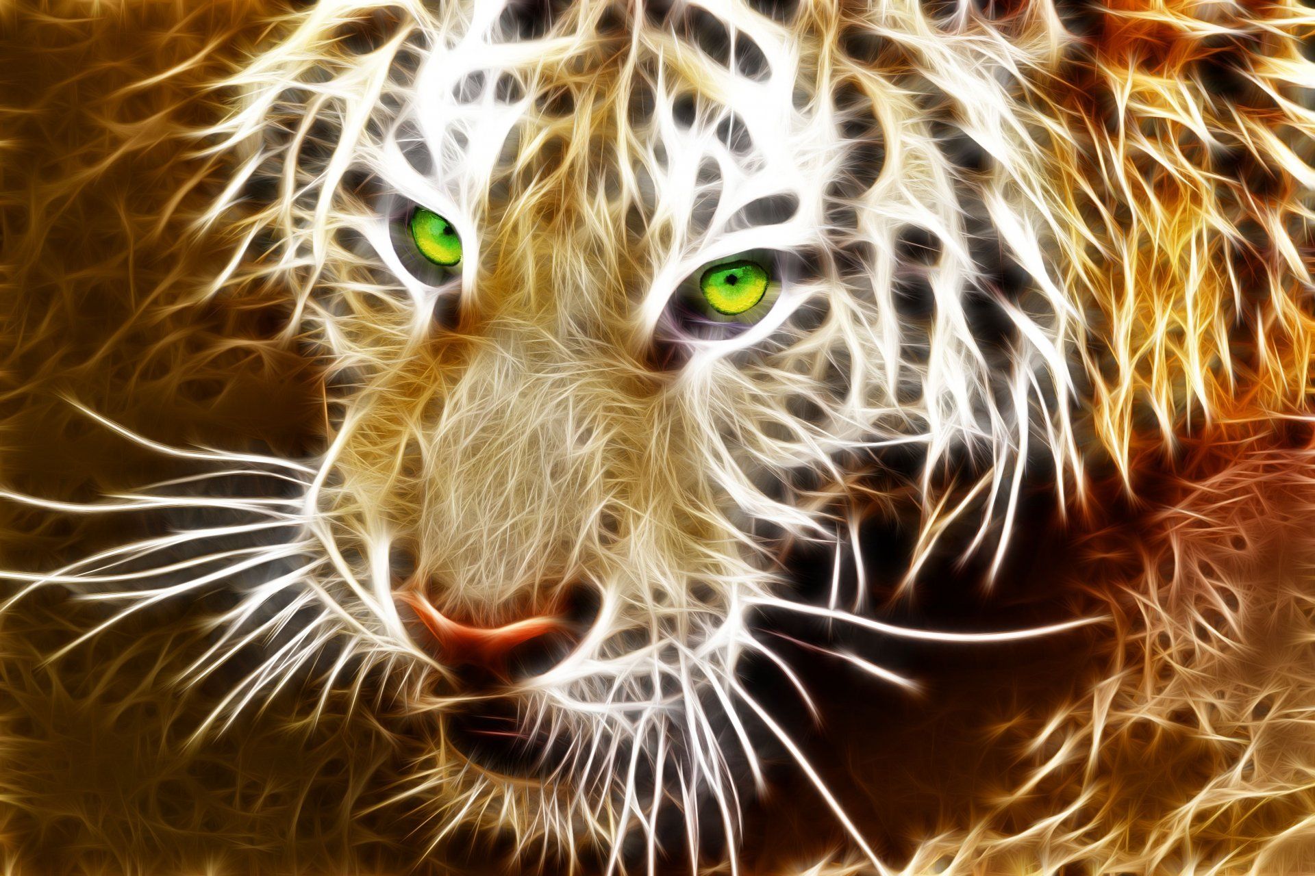 1920x1280 2K Quad HD Tiger Wallpaper