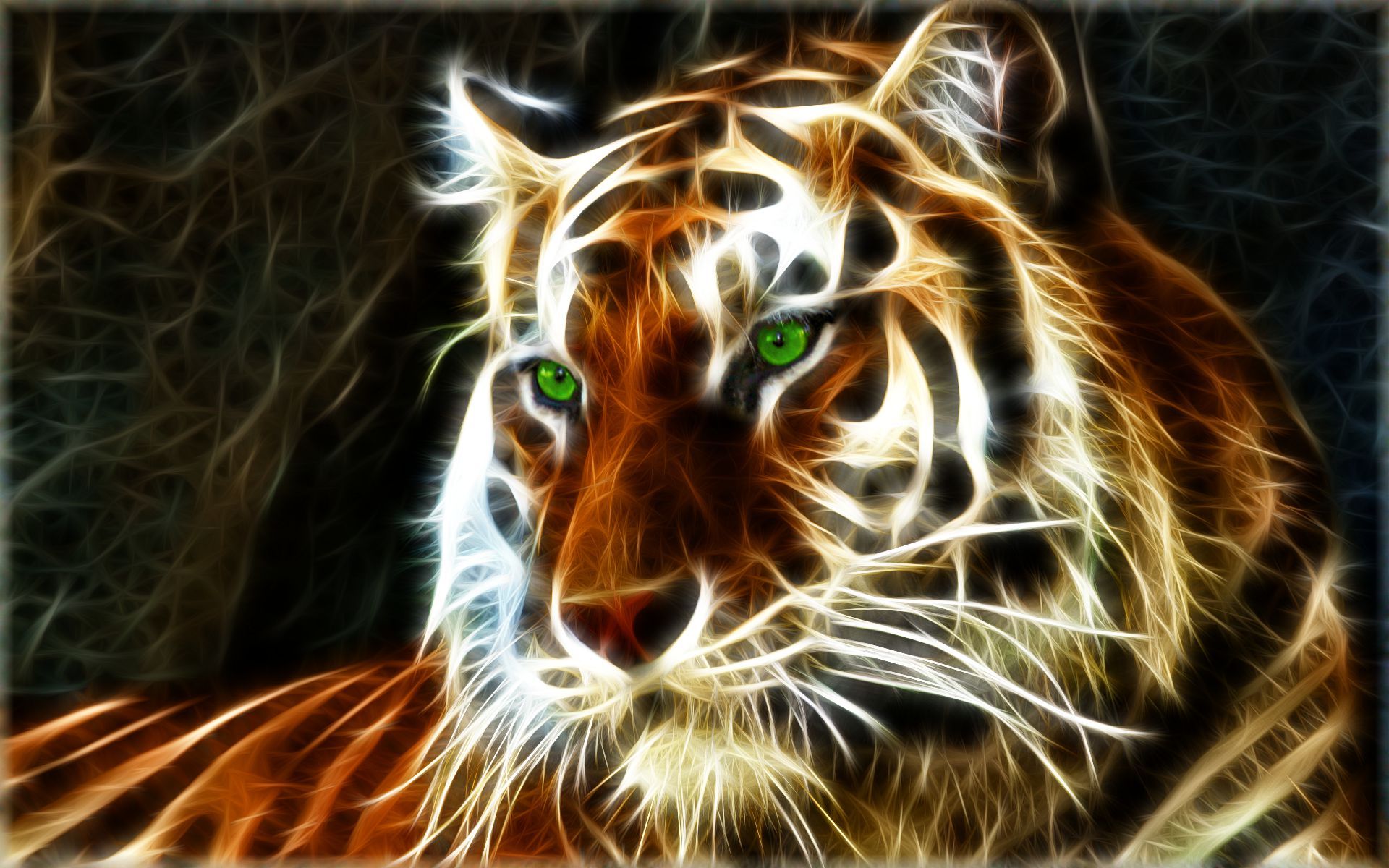 1920x1200 Majestic Tiger Glow HD Animal Wallpaperx1200