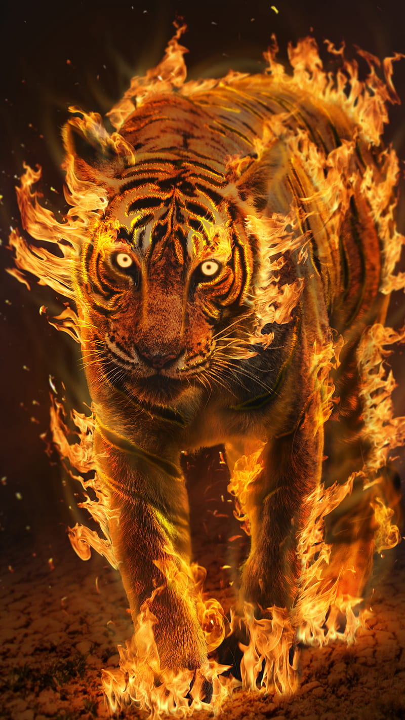 800x1422 Raging Fire, Burning tiger, FIre power, Fierce, Glowing Eye, fire burning, super power, HD phone wallpaper