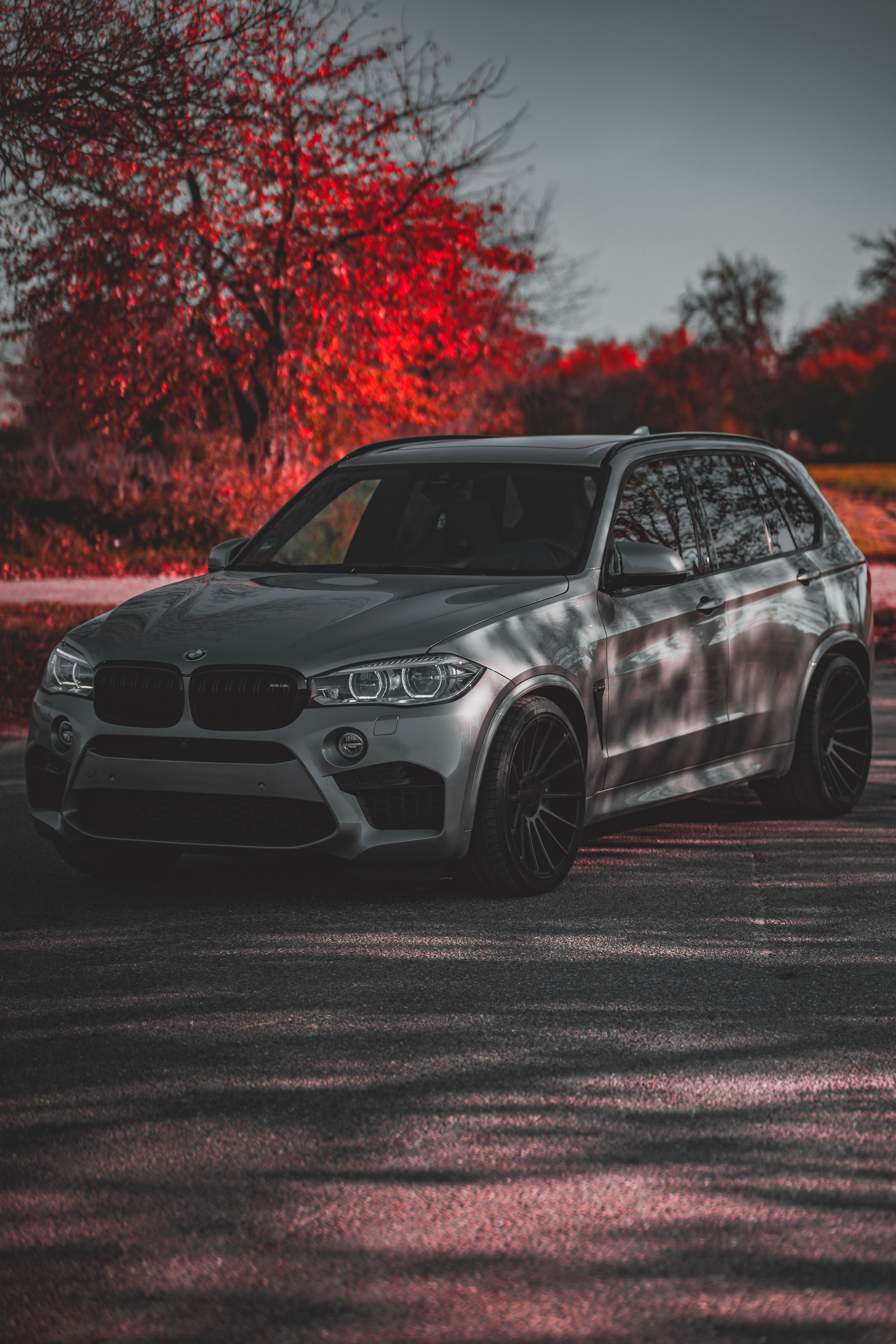 4000x6000 Silver BMW on Asphalt Road · Free