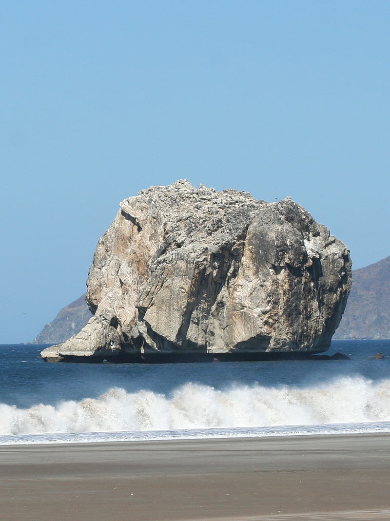 800x1069 HD guanacaste wallpaper