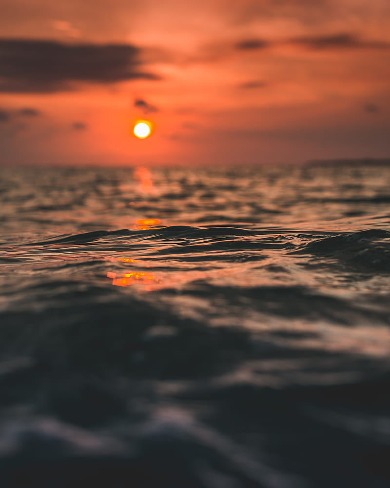800x1000 Waves, sun, sunset, water, surface, HD phone wallpaper