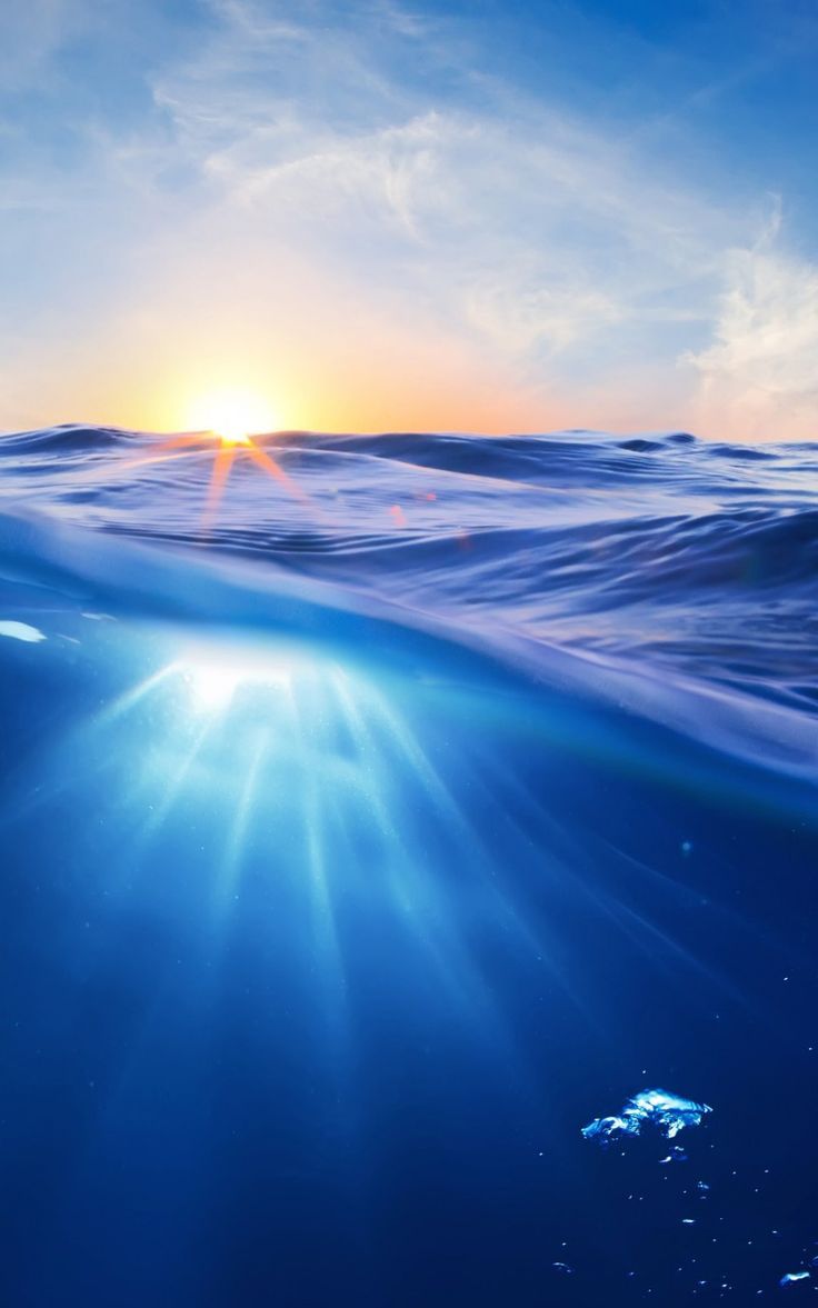 736x1177 Sunrise Half Underwater Wallpaper