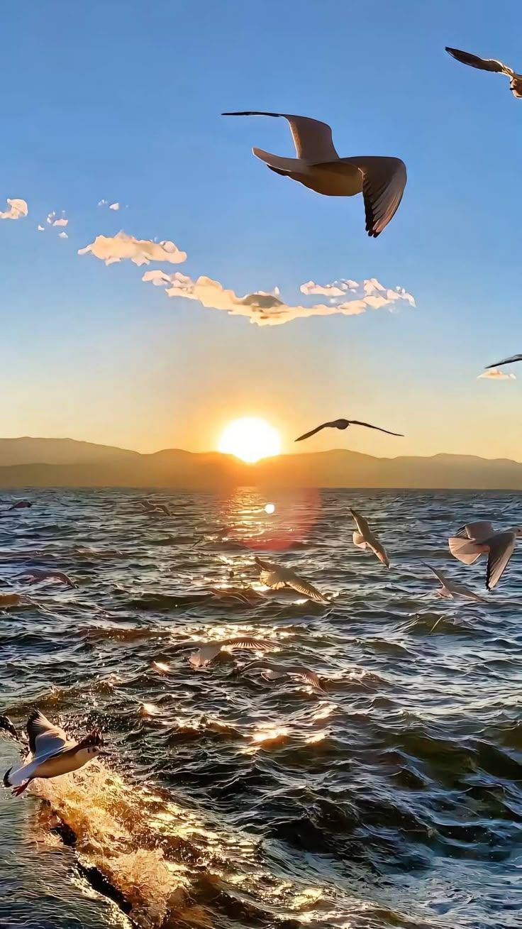 736x1309 Rising sun in mountain from sea view 8k resolution wallpaper