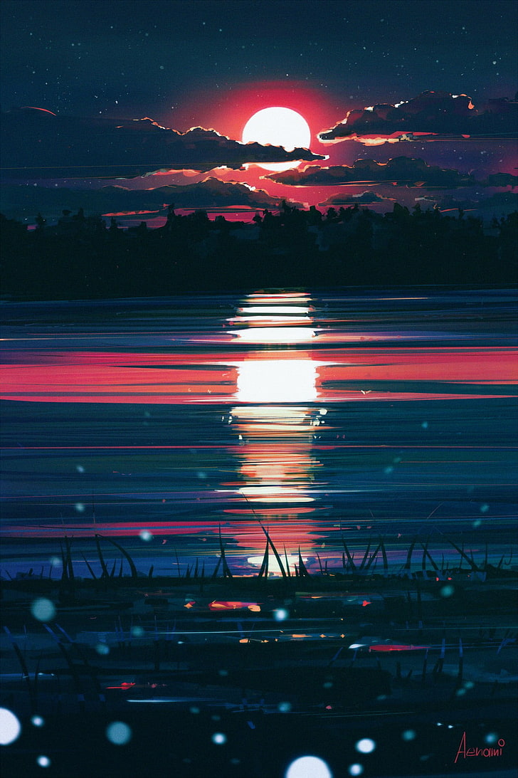 728x1093 HD wallpaper: sun set digital wallpaper, sunset, illustration, water, night