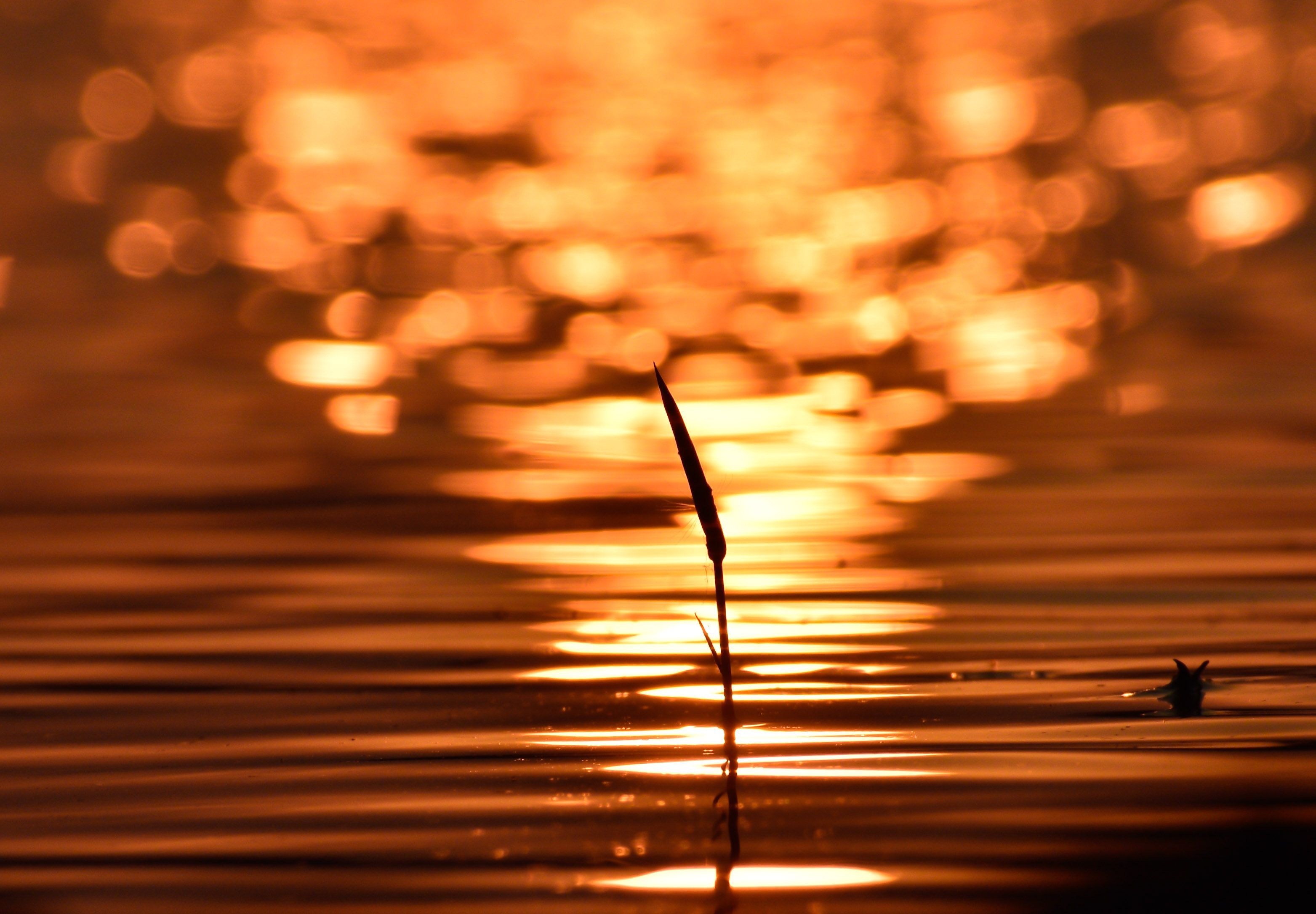 3126x2171 Water Reflection Of Sun Photo, Download The BEST Free Water Reflection Of Sun & HD Image