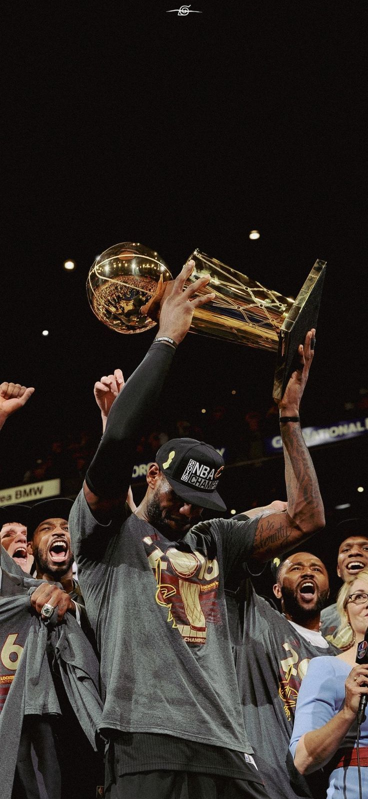 736x1596 Lebron James NBA Champion 2016