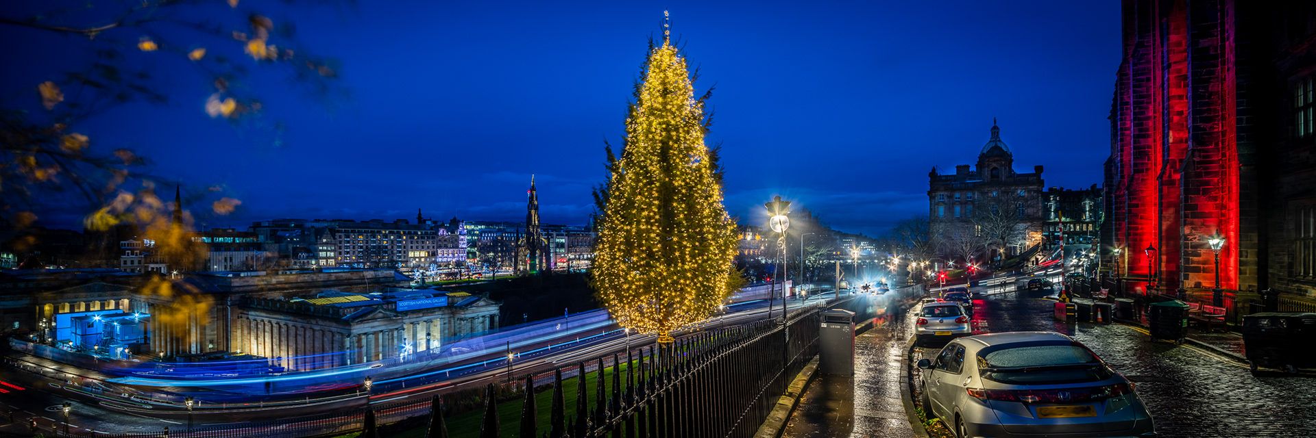 1920x640 andycatlin.com Trees of Edinburgh