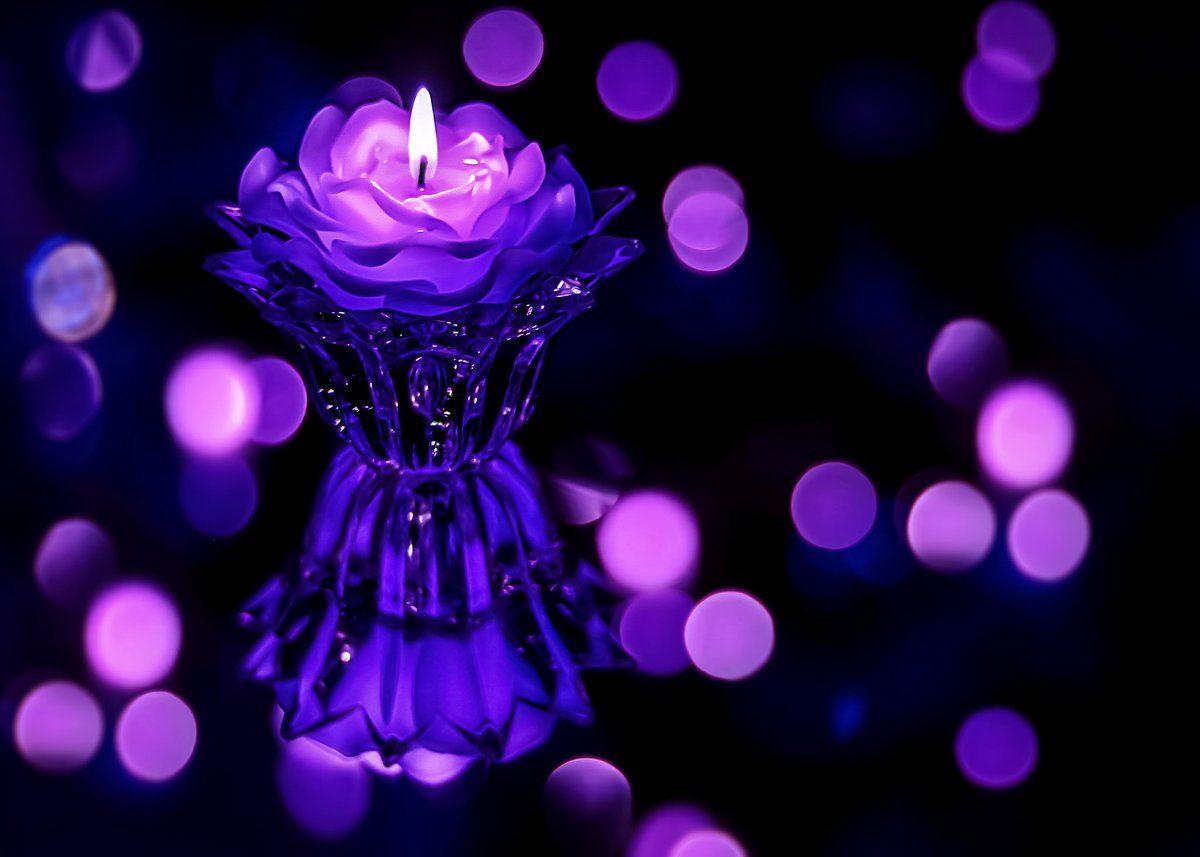 HD roses and candle wallpapers | Peakpx