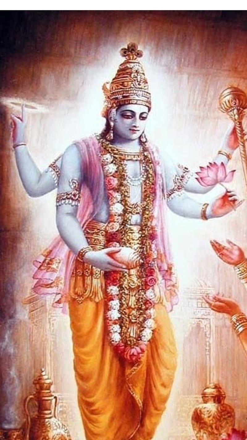 800x1422 Lord Vishnu Standing, lord vishnu, standing, lord narayana, preserver, god, HD phone wallpaper