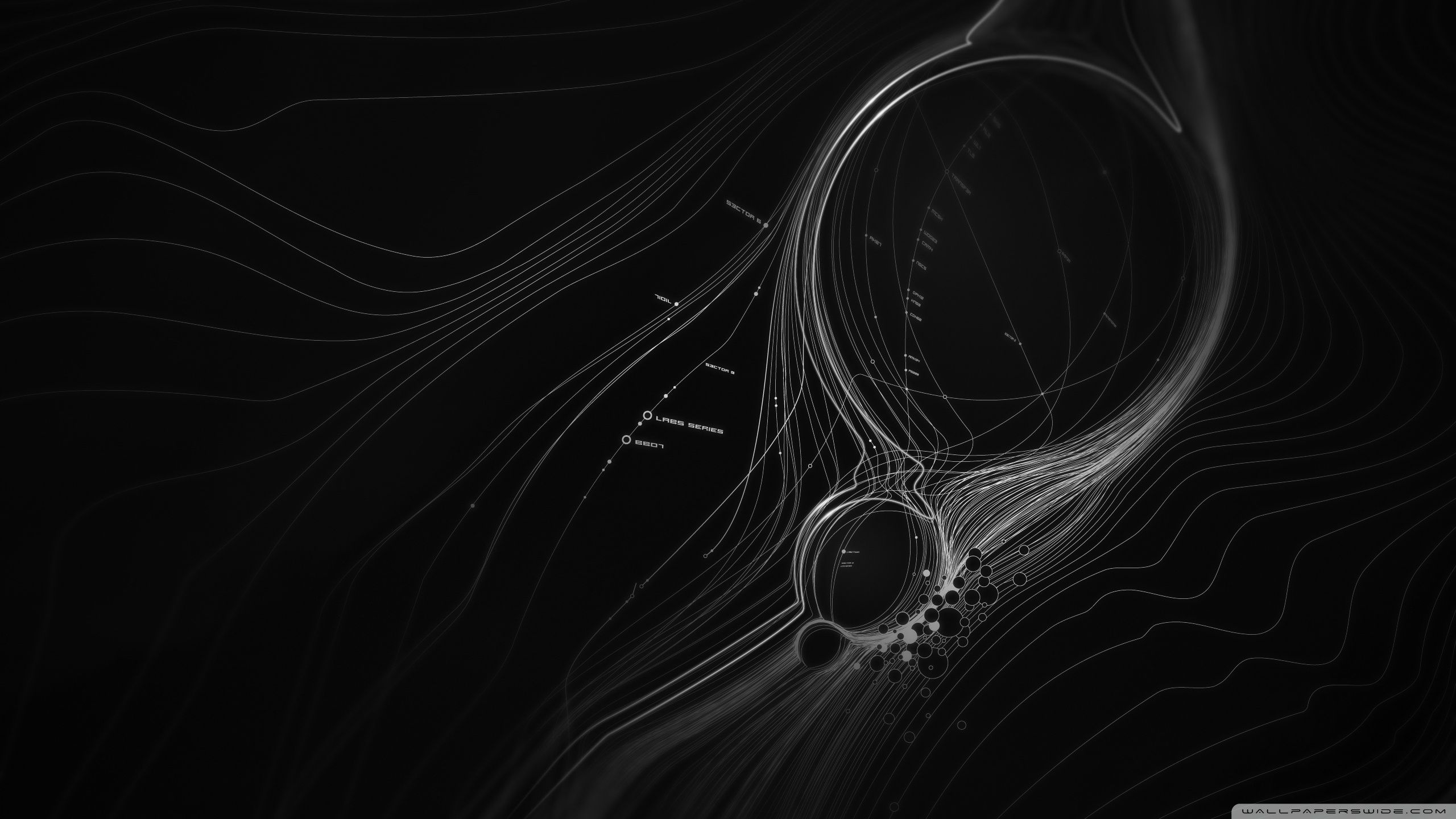 2560x1440 Abstract Lines 4K UHD Wallpaper for UltraHD Desktop and TV : Smartphone and Tablet Devices
