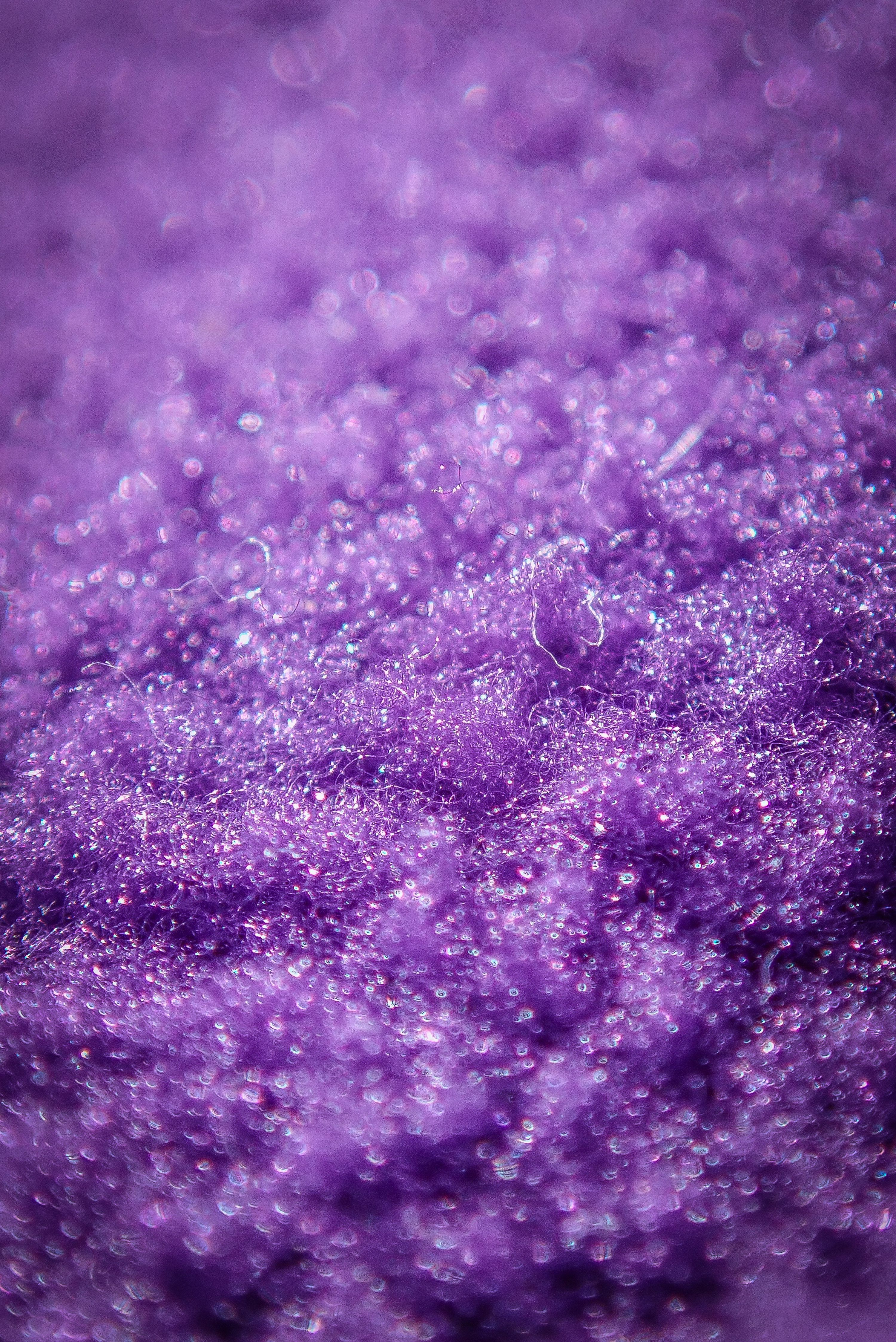 3000x4491 A close up view of a purple substance photo