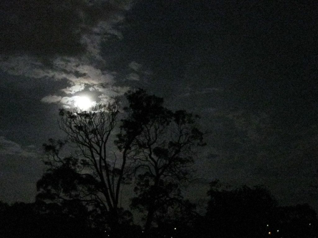 1024x768 Day 70. Pale moon rising over Macleod