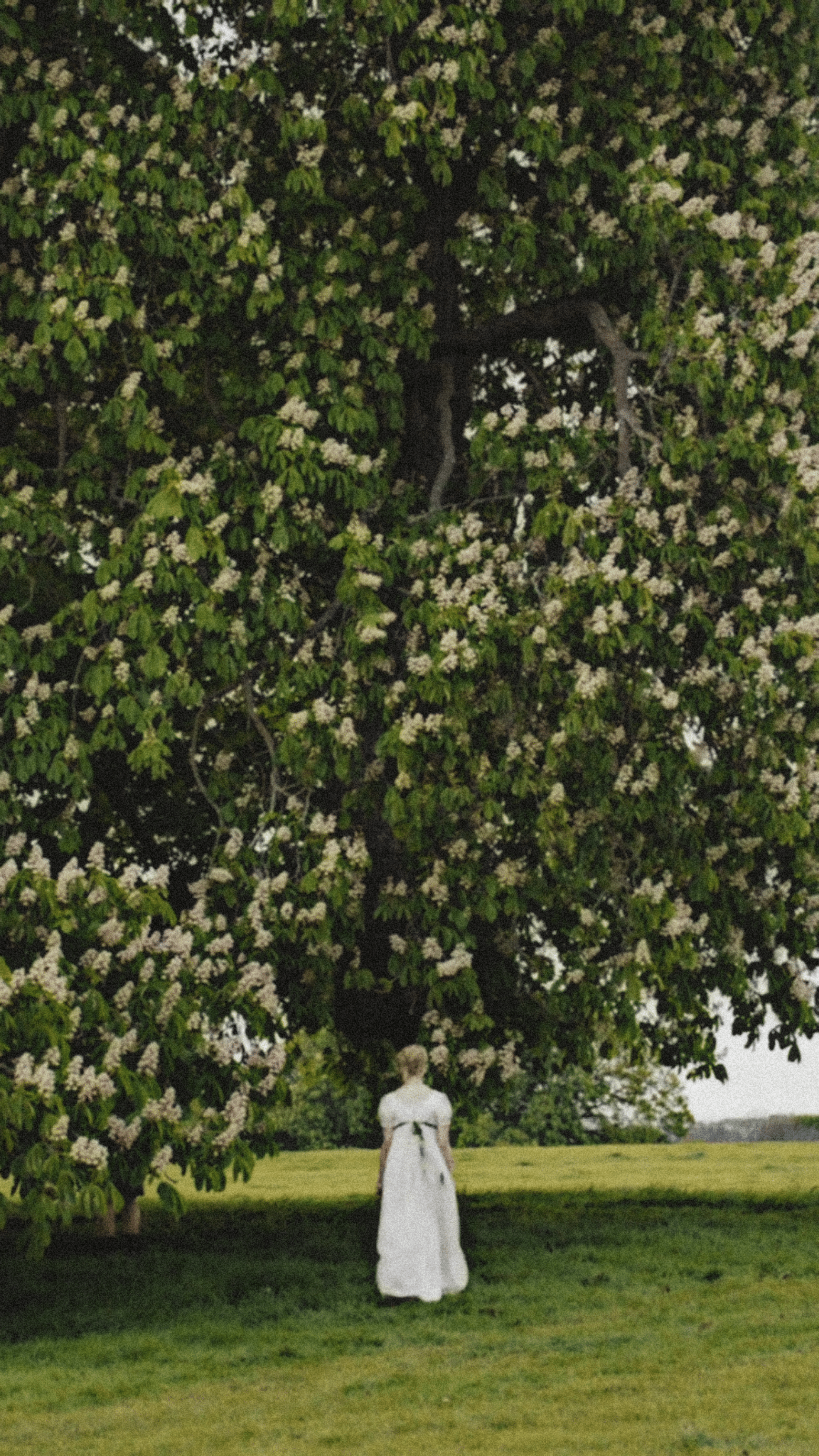 1717x3052 Emma ideas. emma movie, emma jane austen art, emma jane austen fan art