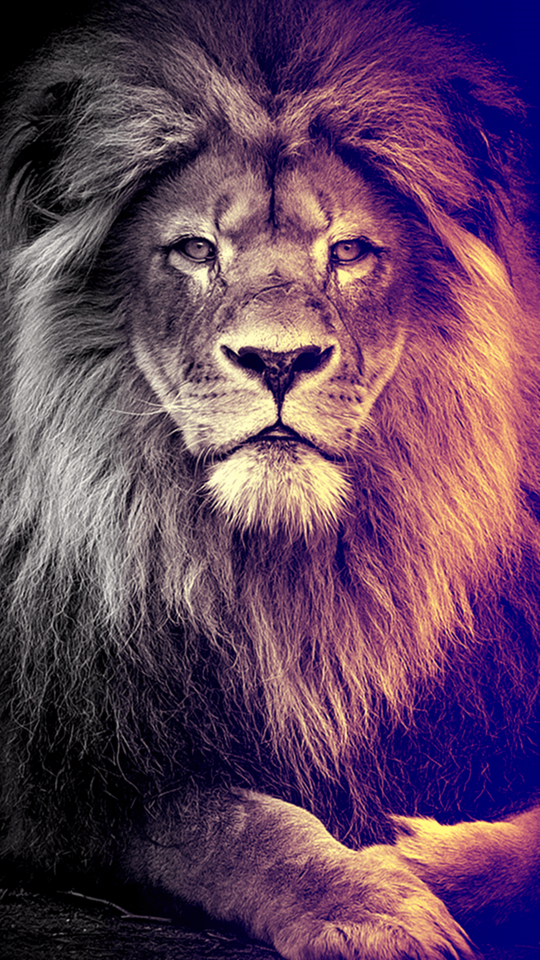 1080x1920 Lion HD Face iPhone Wallpaper