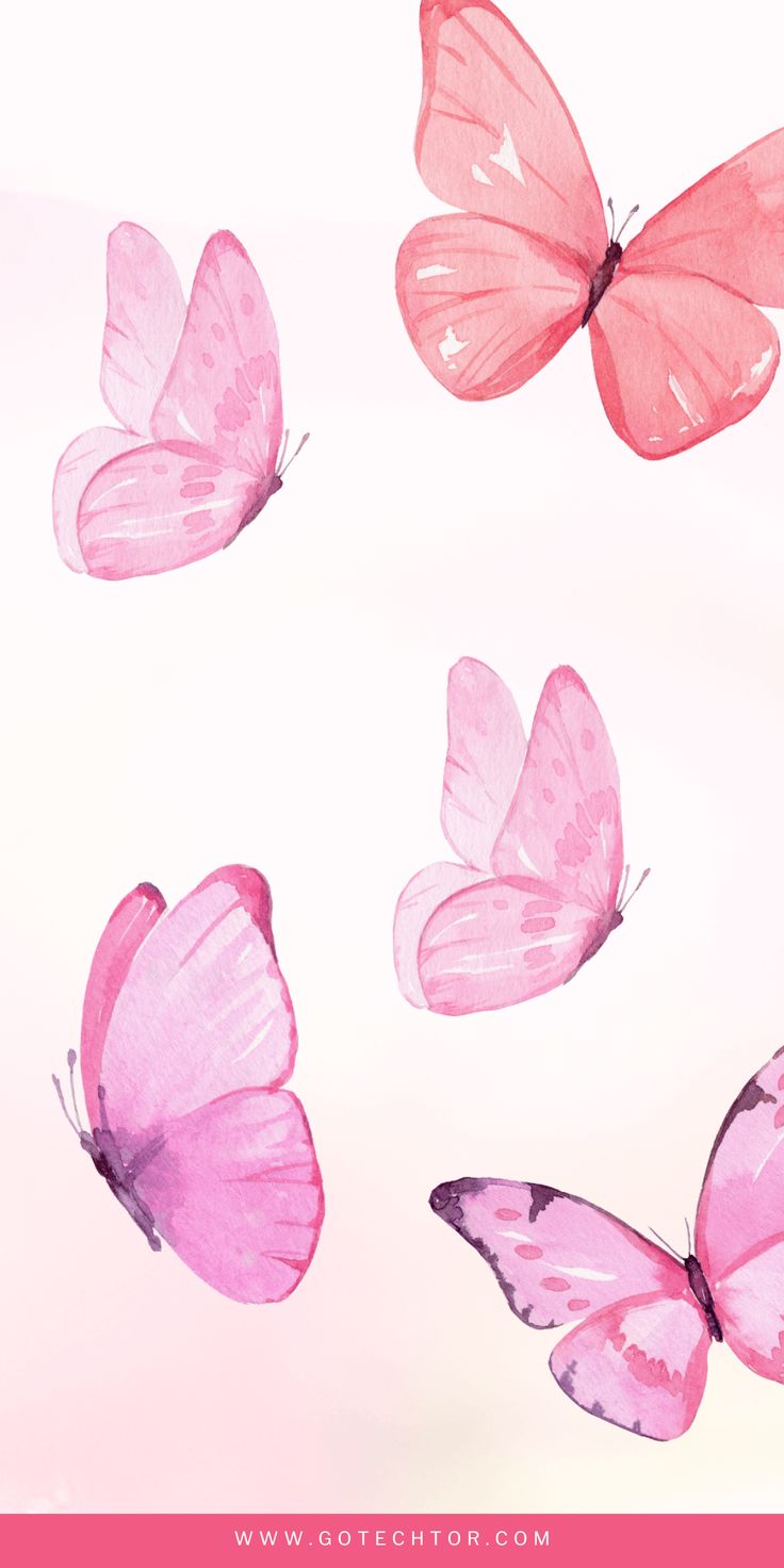 736x1472 Cute Wallpaper + Girly Wallpaper (FREE Pretty iPhone Background)