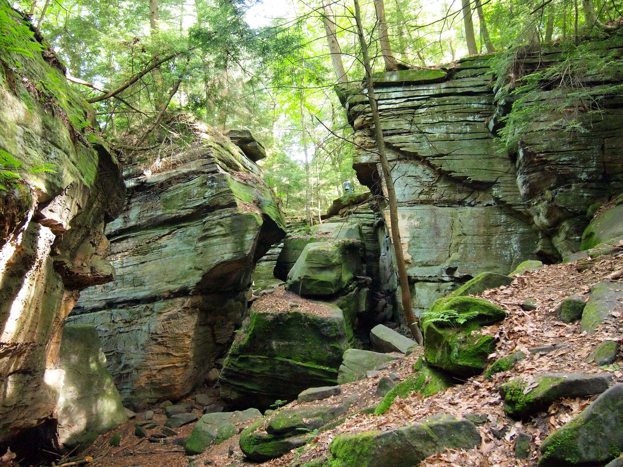 2048x1536 Top Things to Do in Cuyahoga Valley National Park (from a Local!)