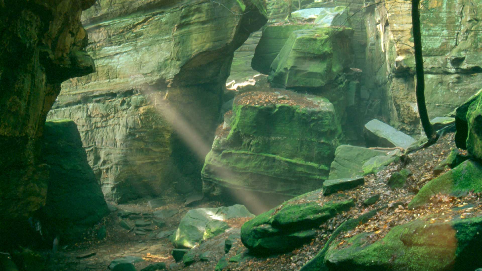 1920x1080 Cuyahoga Valley National Park Wallpaper