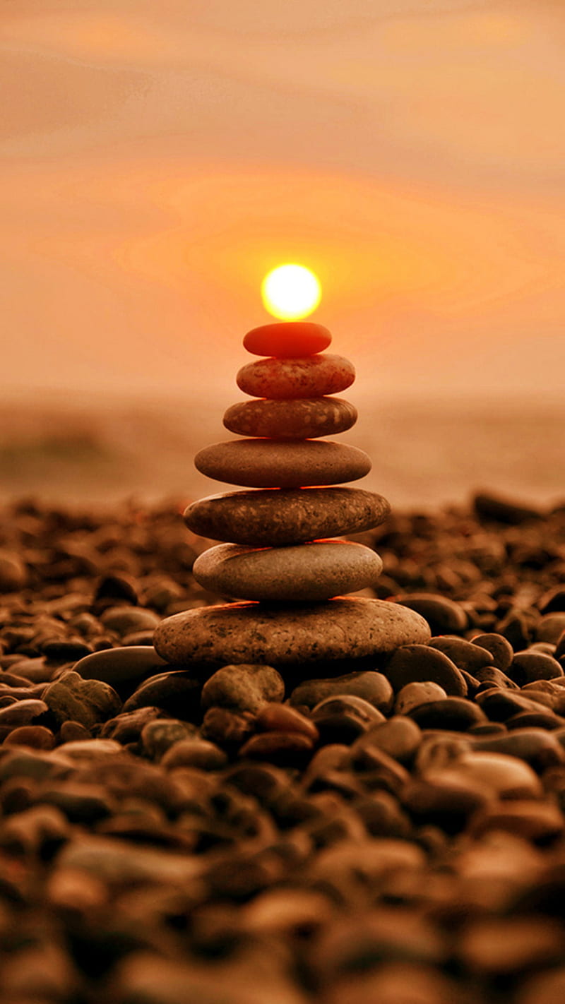 800x1422 Nature sun, natur, HD phone wallpaper