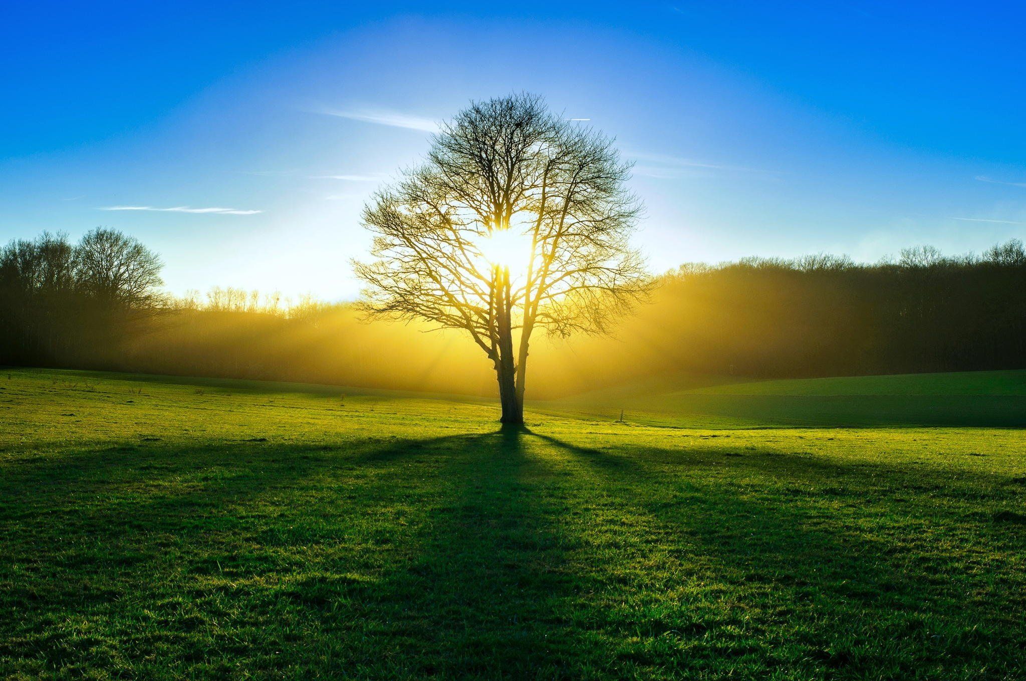 2048x1360 sun, Grass, Meadow, Sky, Nature Wallpaper HD / Desktop and Mobile Background