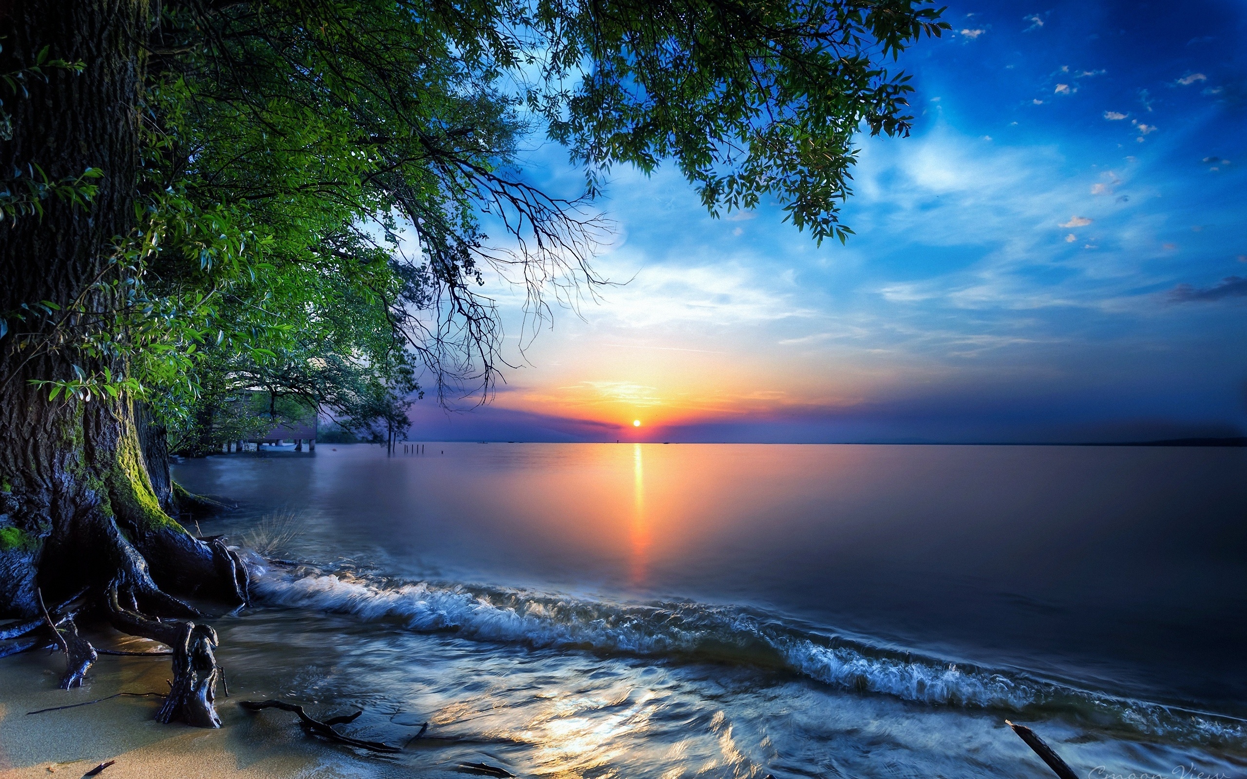 2560x1600 Nature Sea Sky Skyline Sun Tree Wallpaper, HD Nature 4K Wallpaper, Image and Background