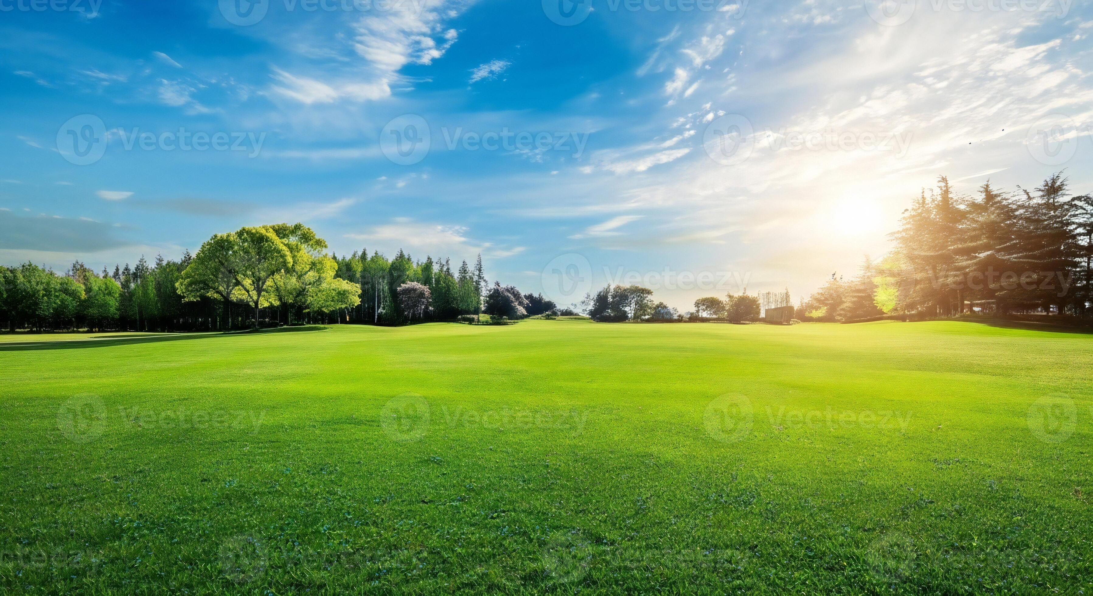 3593x1960 Nature background, Nature wallpaper, Vast green lawn under a bright blue sky with scattered clouds and sun flares filtering through trees