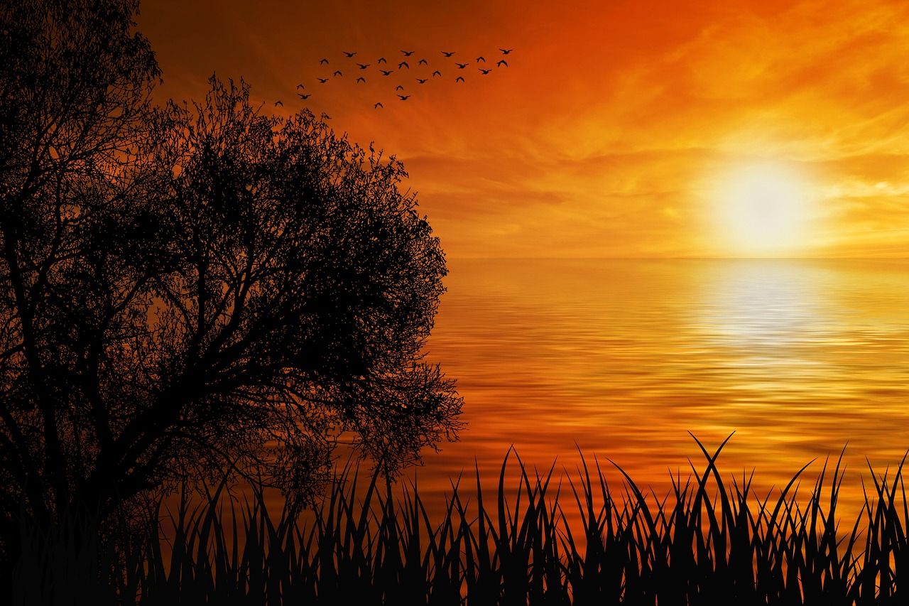 1280x853 Sunset Nature Sun