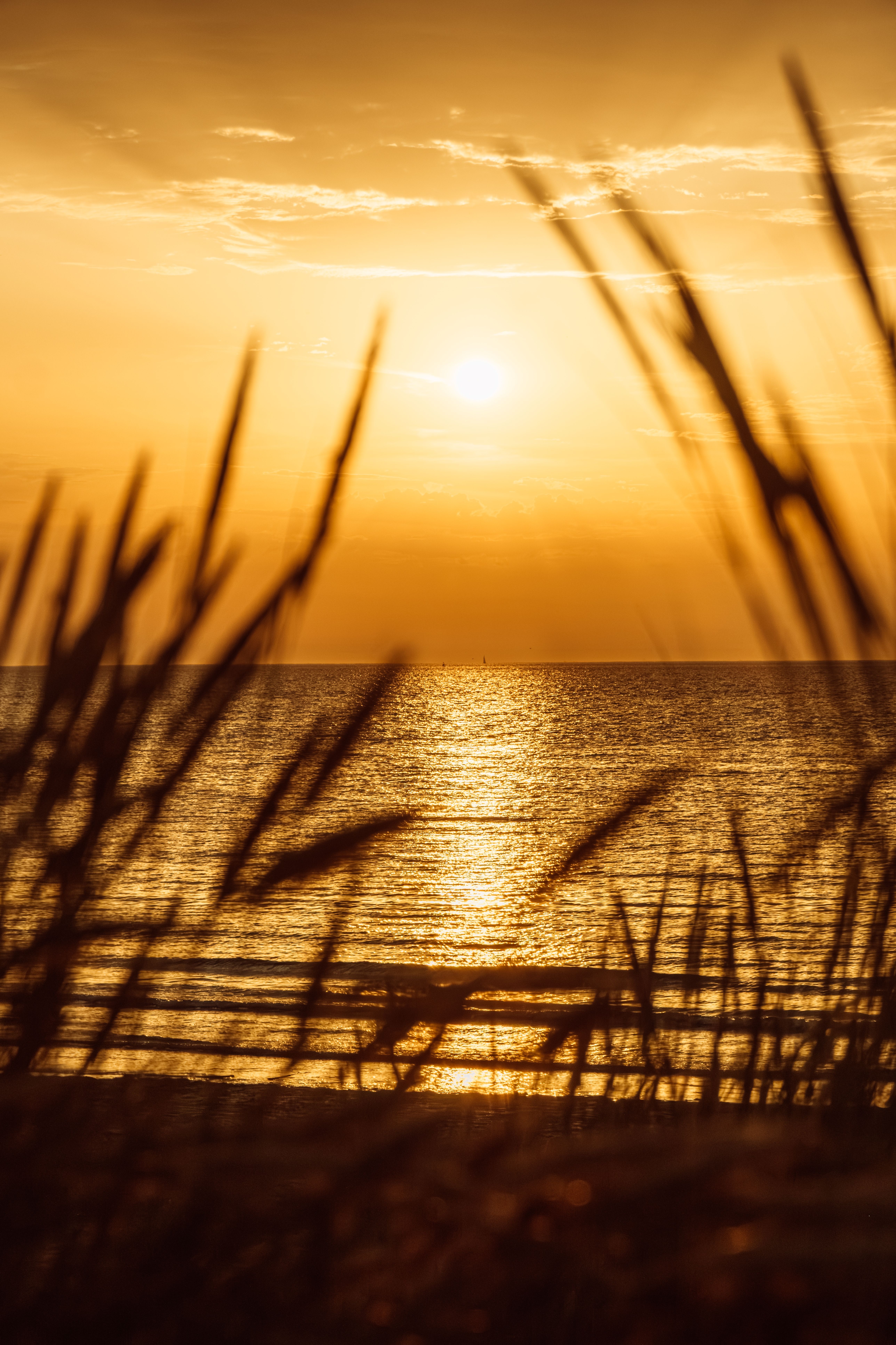 5152x7728 Nature Sunset Photo, Download The BEST Free Nature Sunset & HD Image
