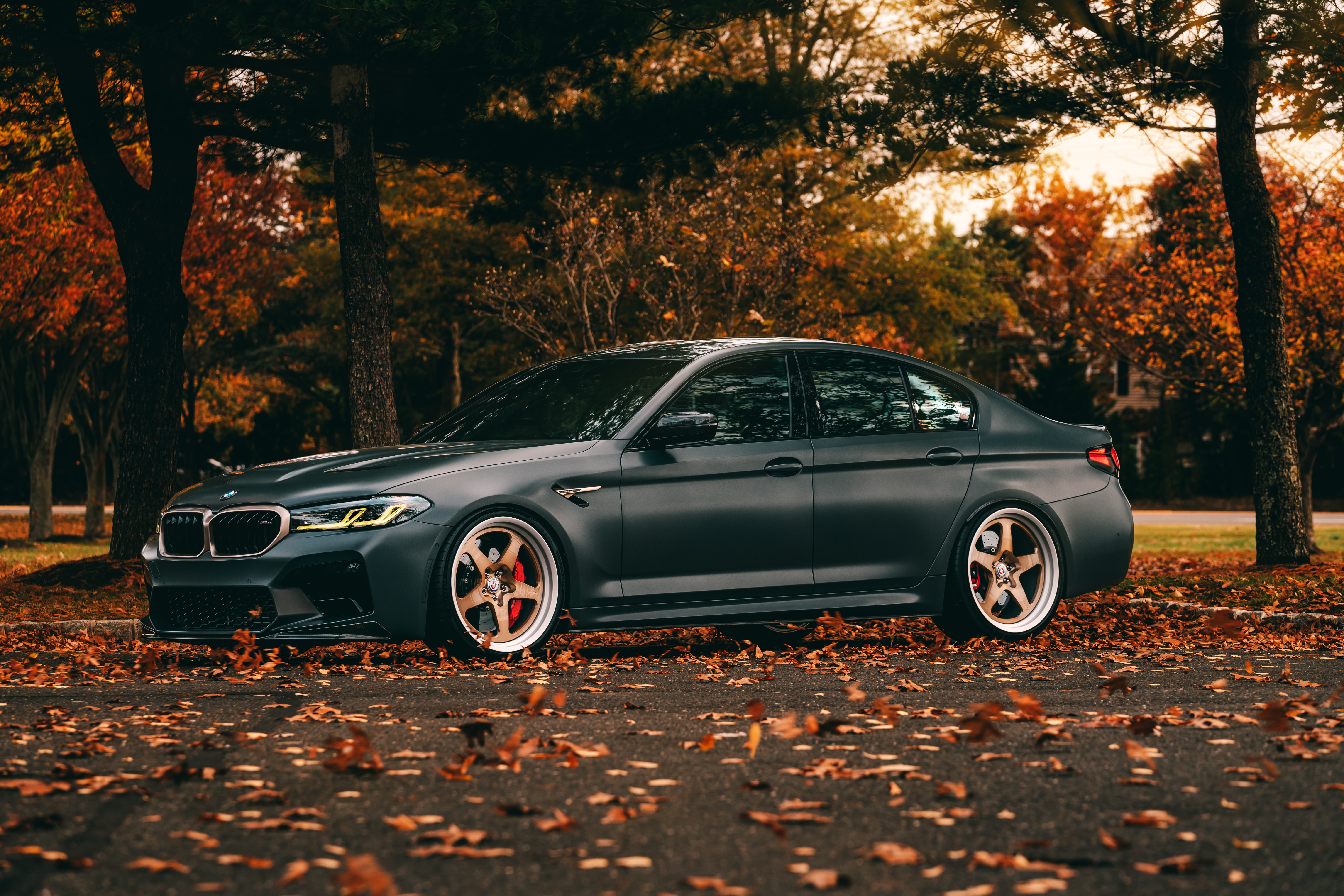 5926x3951 Wallpaper autumn, F M5 CS for mobile and desktop, section bmw, resolution 5926x3951