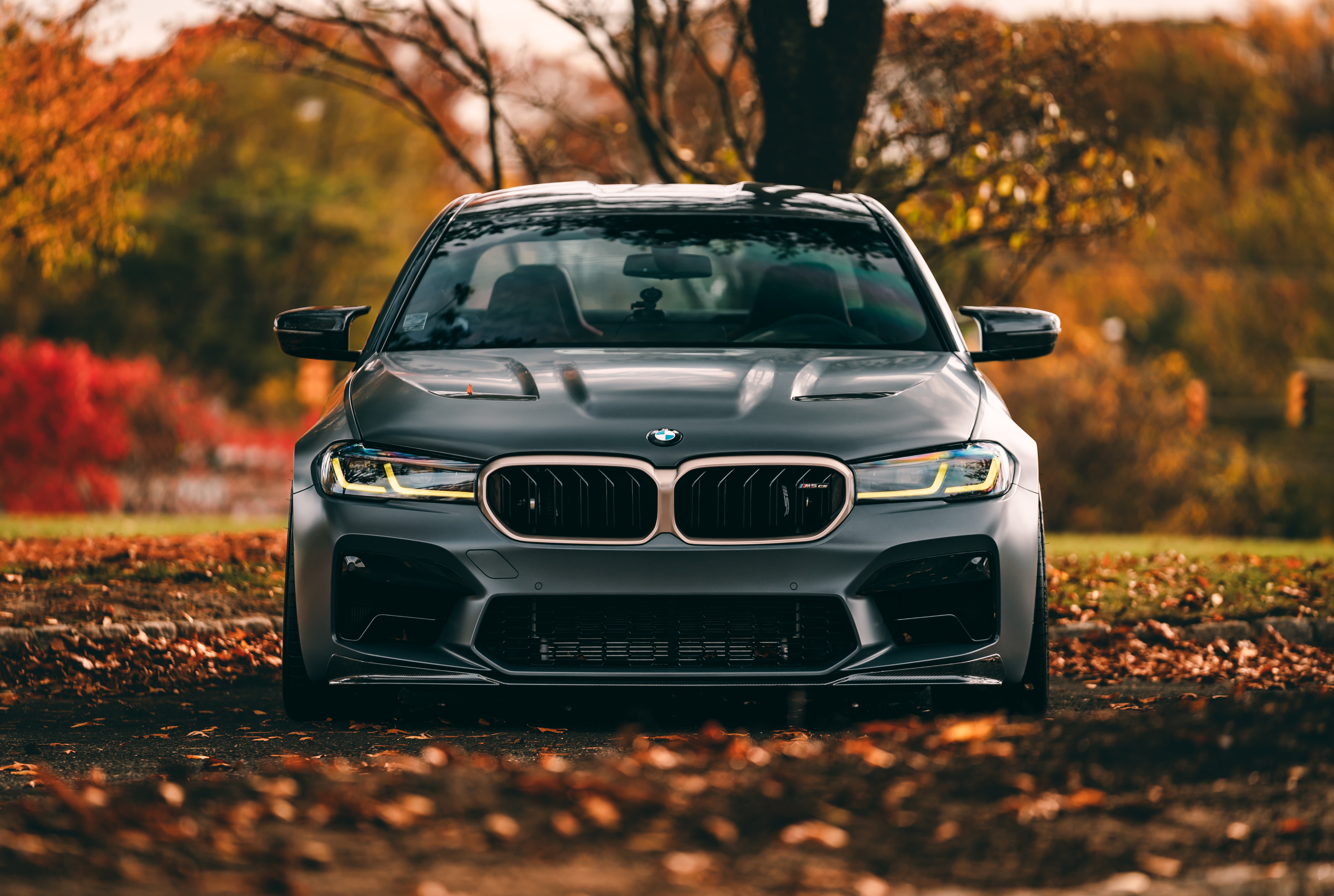 5820x3910 Wallpaper autumn, leaves, F M5 CS for mobile and desktop, section bmw, resolution 5820x3910