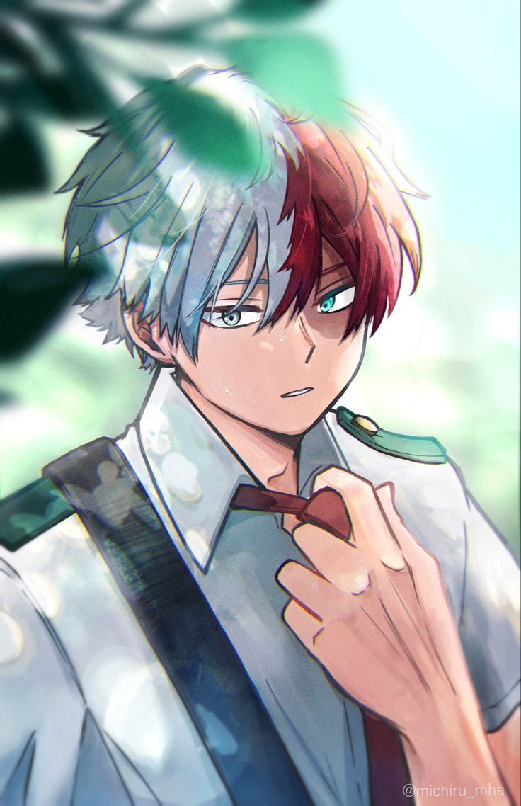 736x1138 Descubre 80 ideas de Todoroki y animes yandere. imagenes de anime hd, chicos de anime, parejas anime bonitas y más