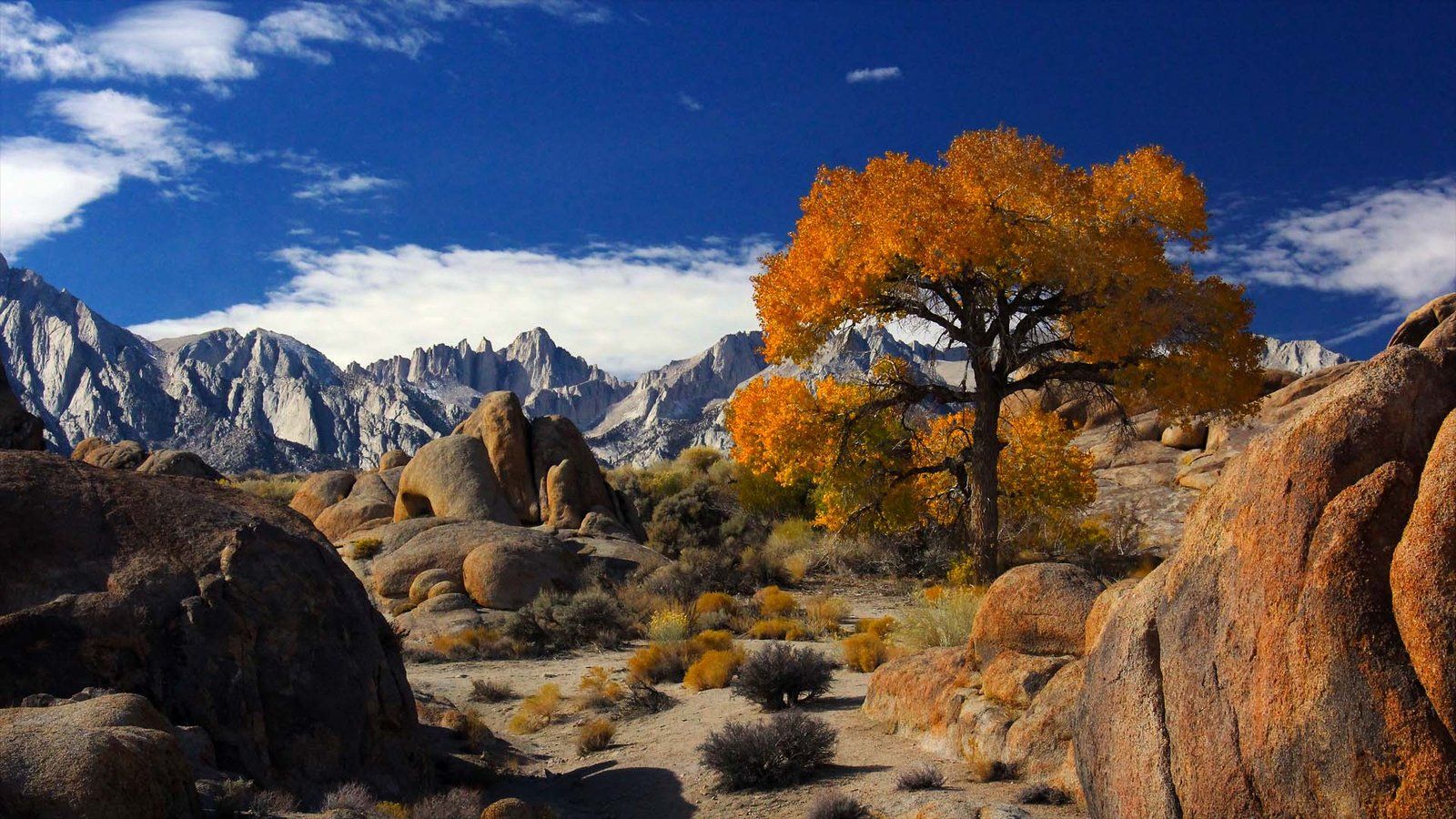 1600x900 Autumn In Alabama Hills With Mount Whitney The Highest Peak In The United States And Sierra Nevada California Desktop HD Wallpaper 1920x1080 :