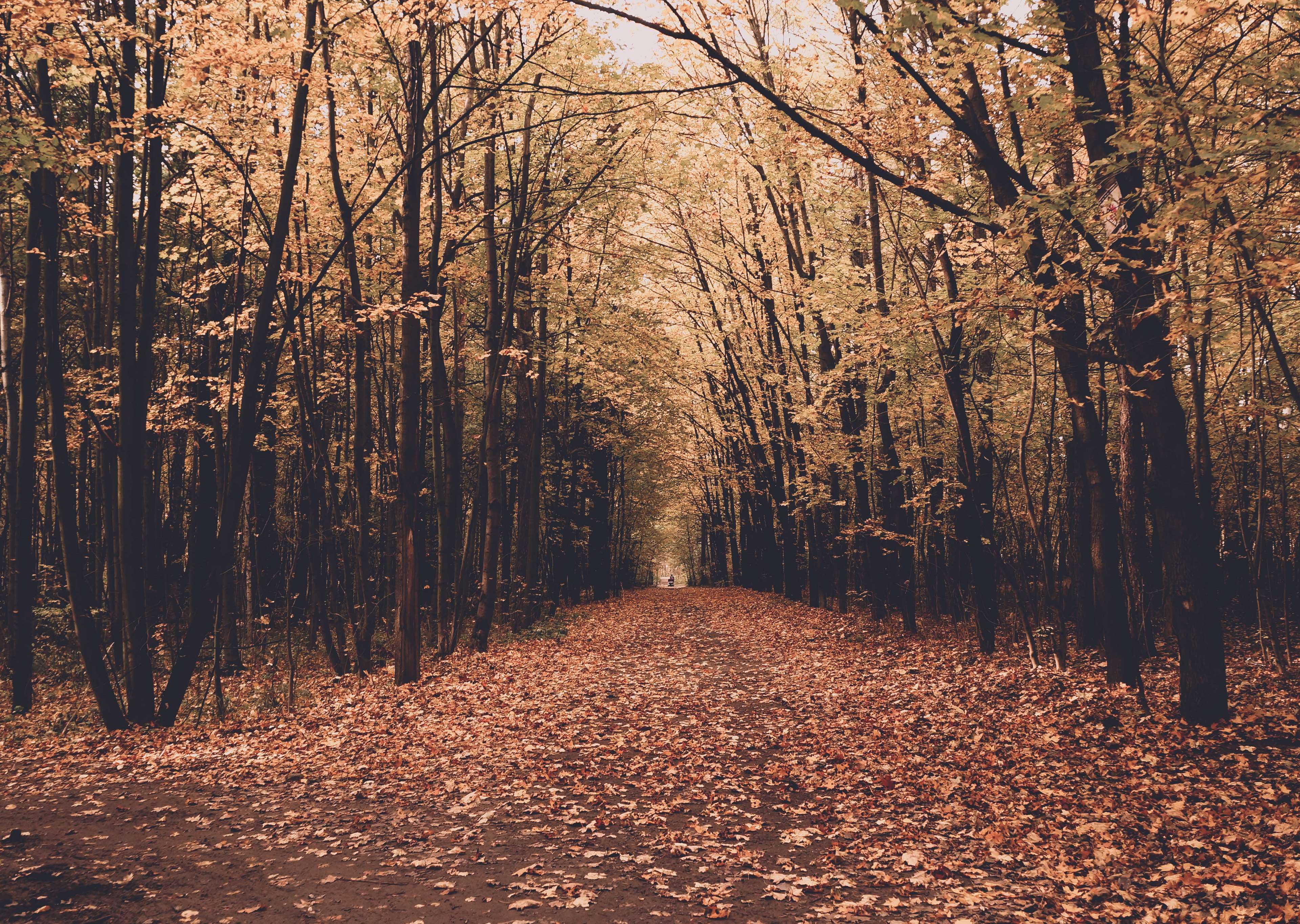 Fall Weather Wallpapers - Top Free Fall Weather Backgrounds ...