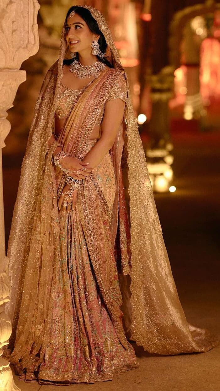 701x1245 Radhika Merchant's unseen pics