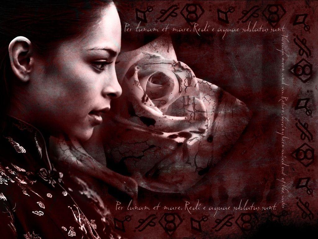 1024x768 Lana Lang Wallpaper