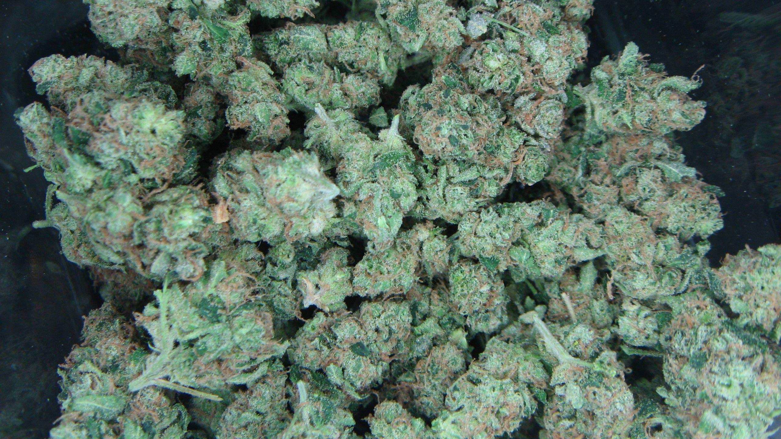 2560x1440 Wallpaper Kush. Kush Wallpaper, Platinum