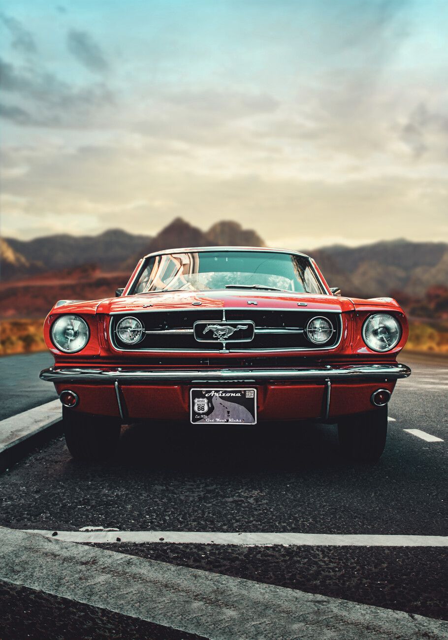 910x1300 Poster Mustang Love
