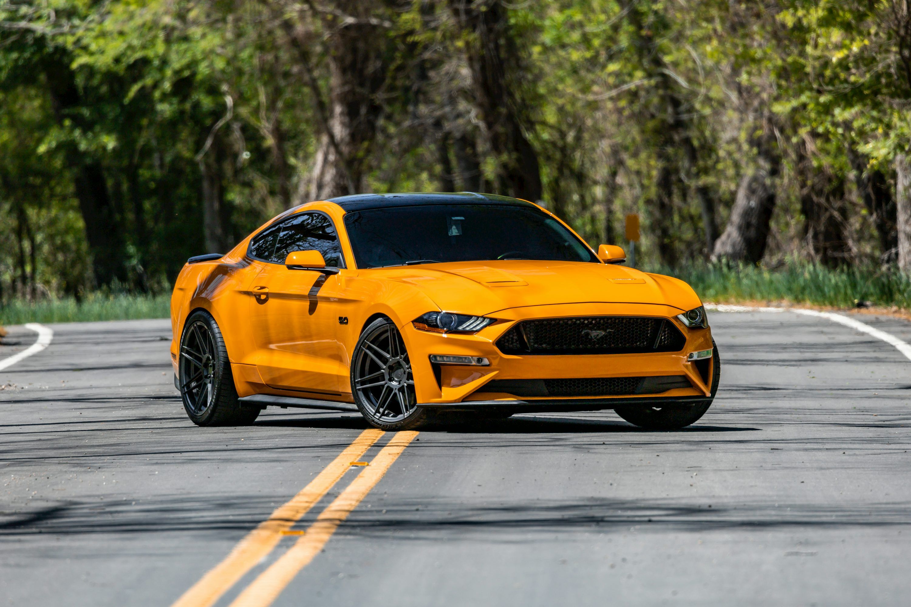 3000x2000 Mustang Wallpaper: Free HD Download [4K]