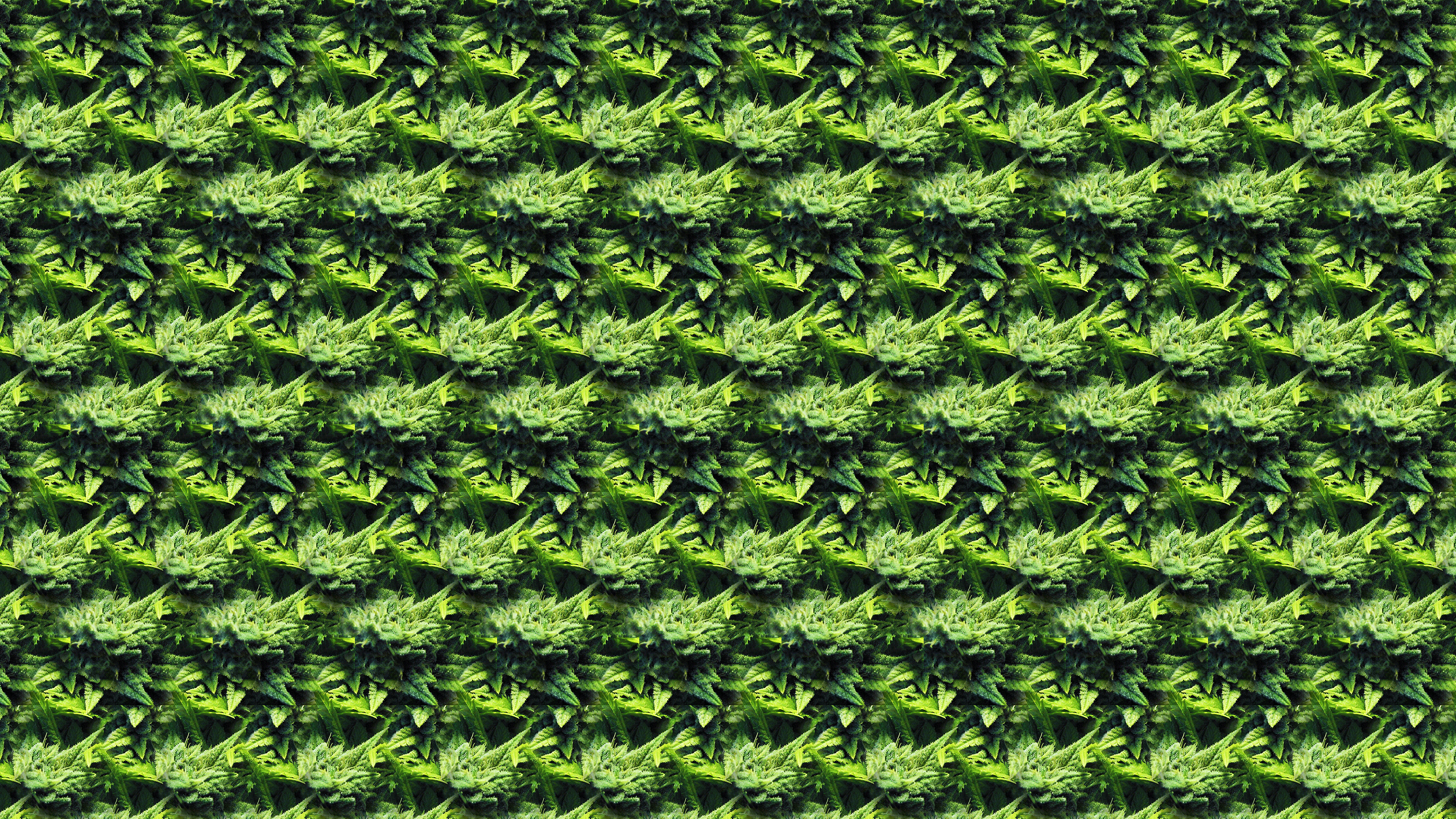 2560x1440 Kush Desktop Wallpaper