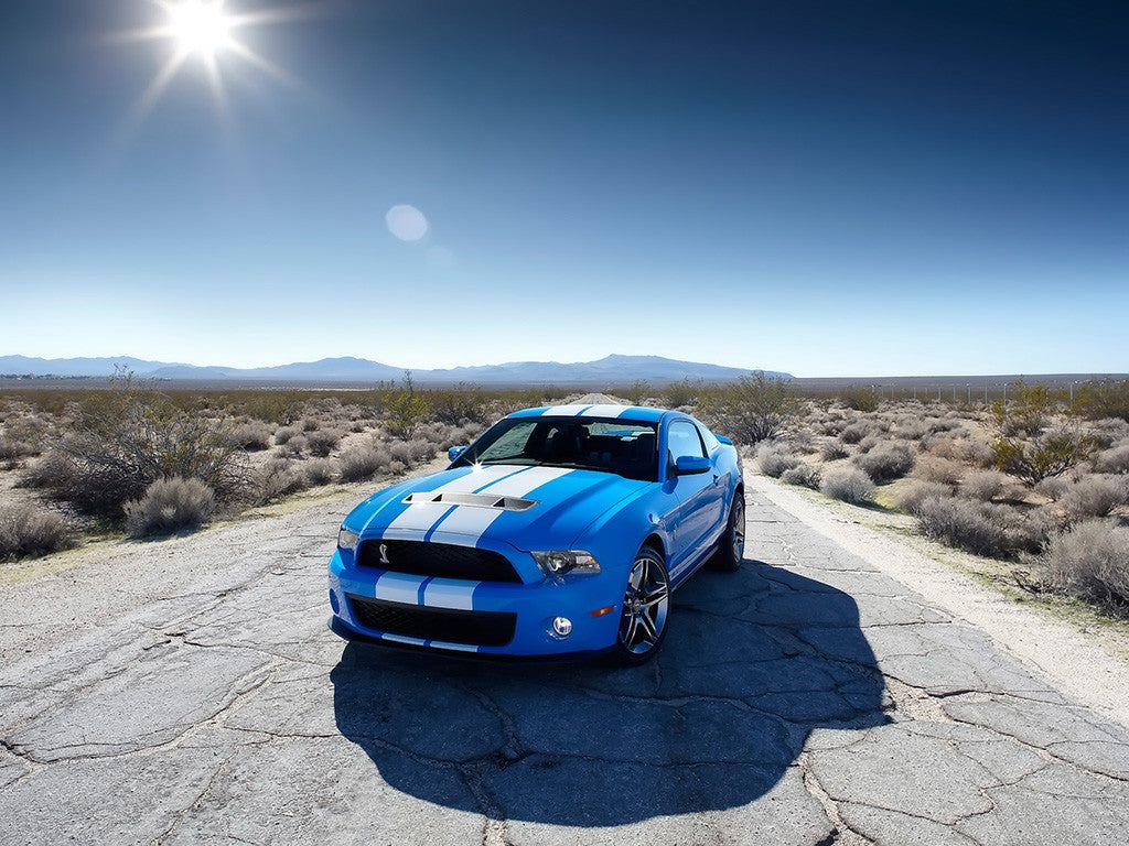 1024x768 Ford Mustang Auto Car Poster