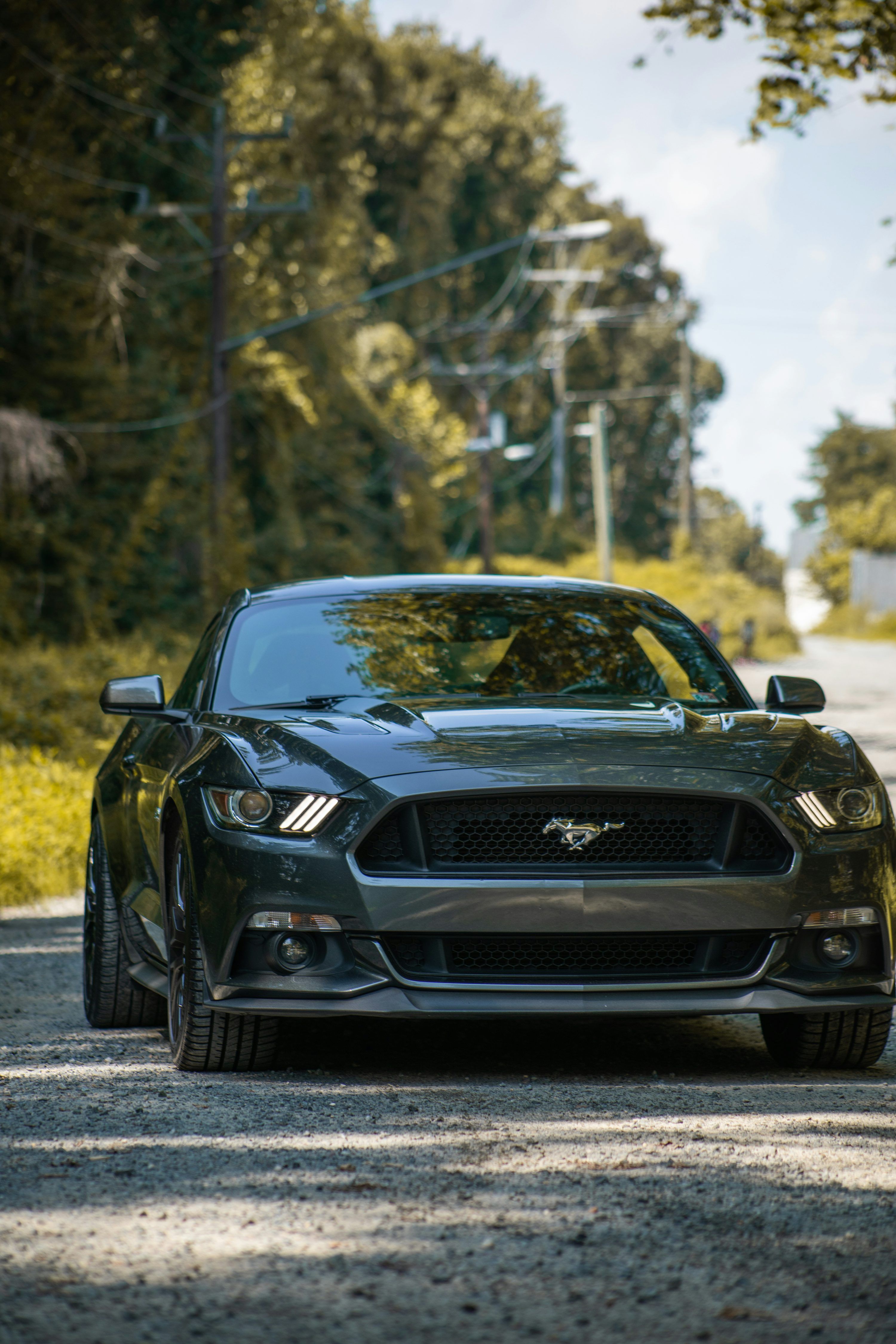 3000x4500 Mustang Gt Picture. Download Free Image