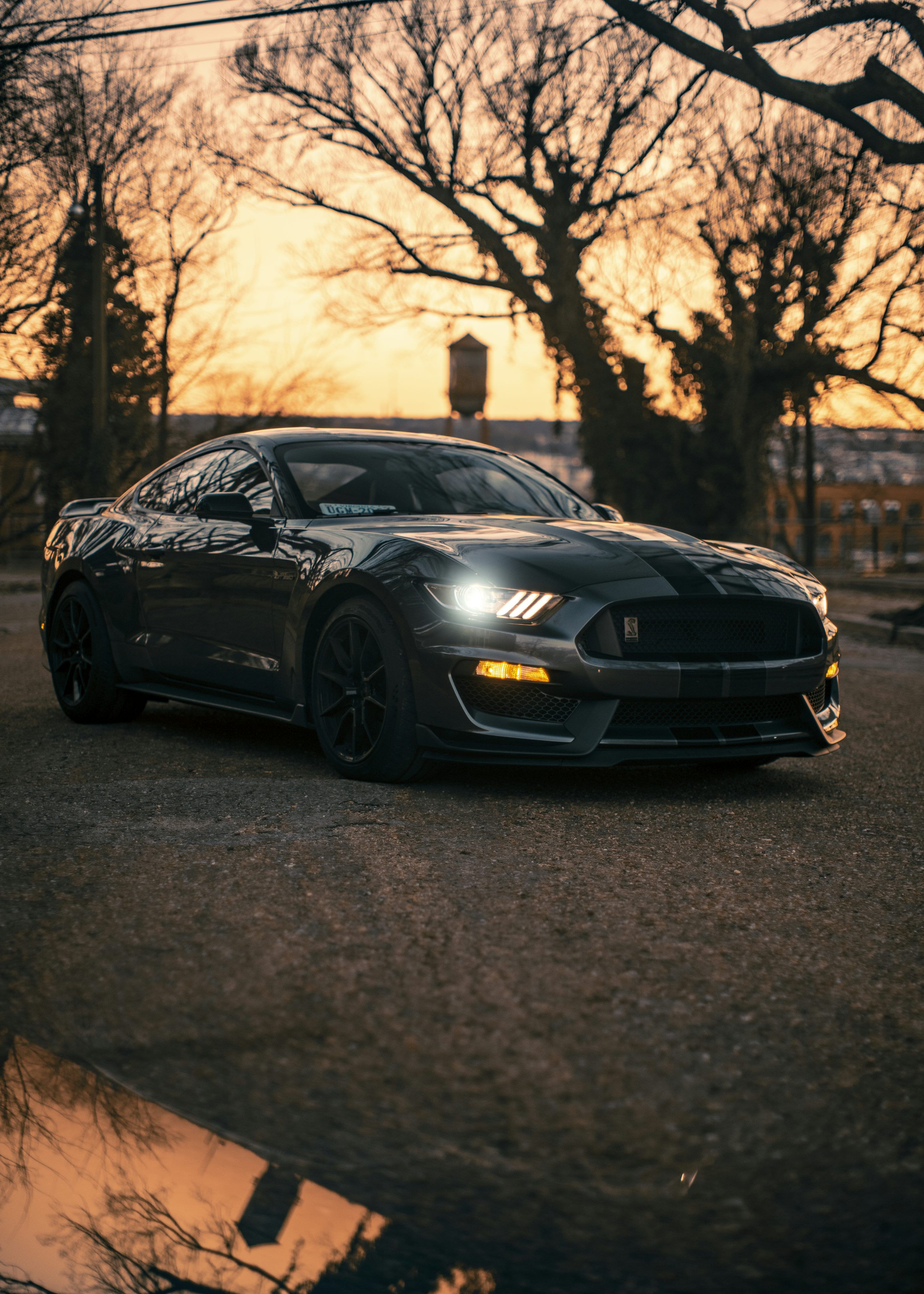 3000x4200 Mustang Shelby Picture. Download Free Image