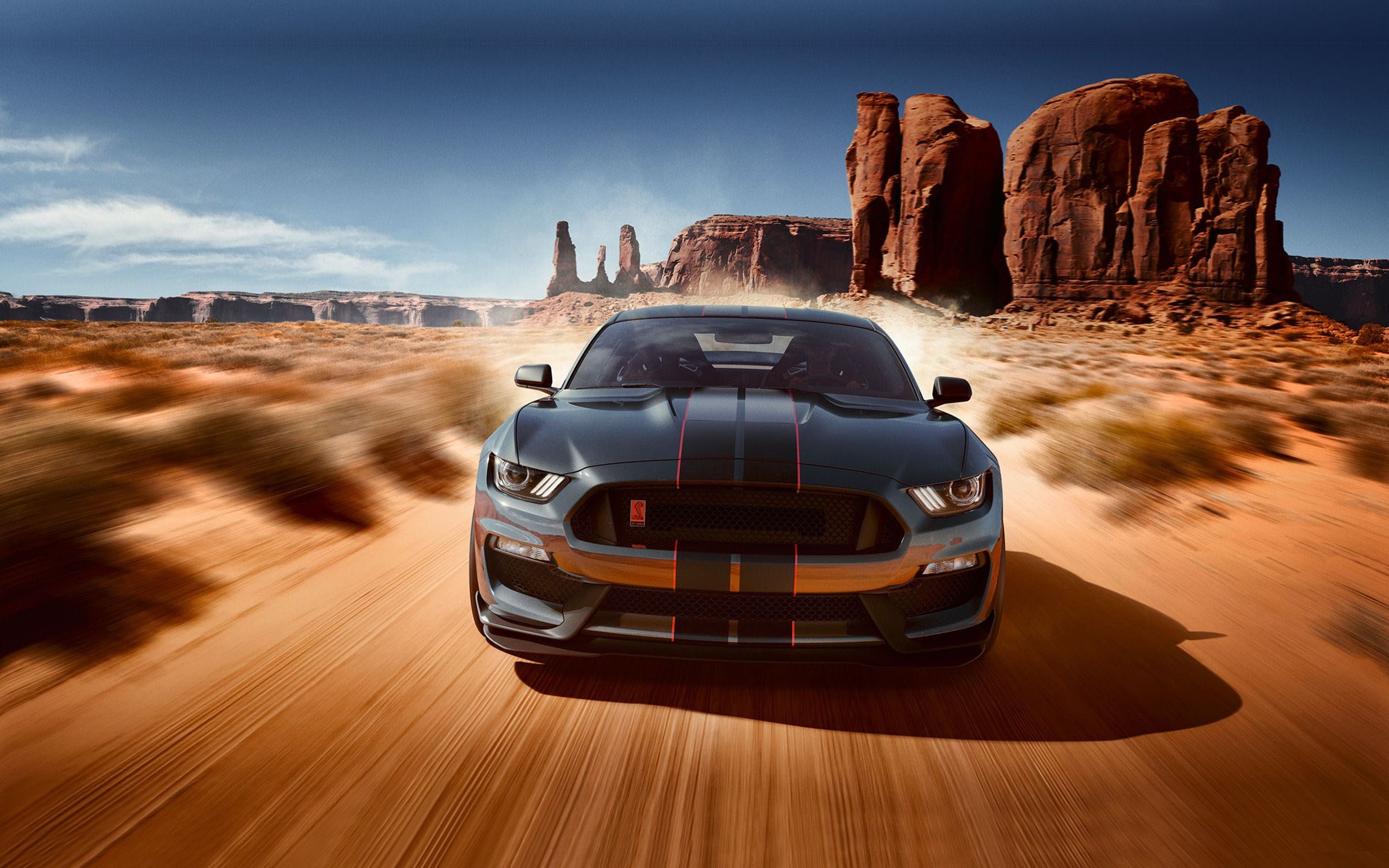 2560x1600 Ford mustang shelby gt350 2019 Poster